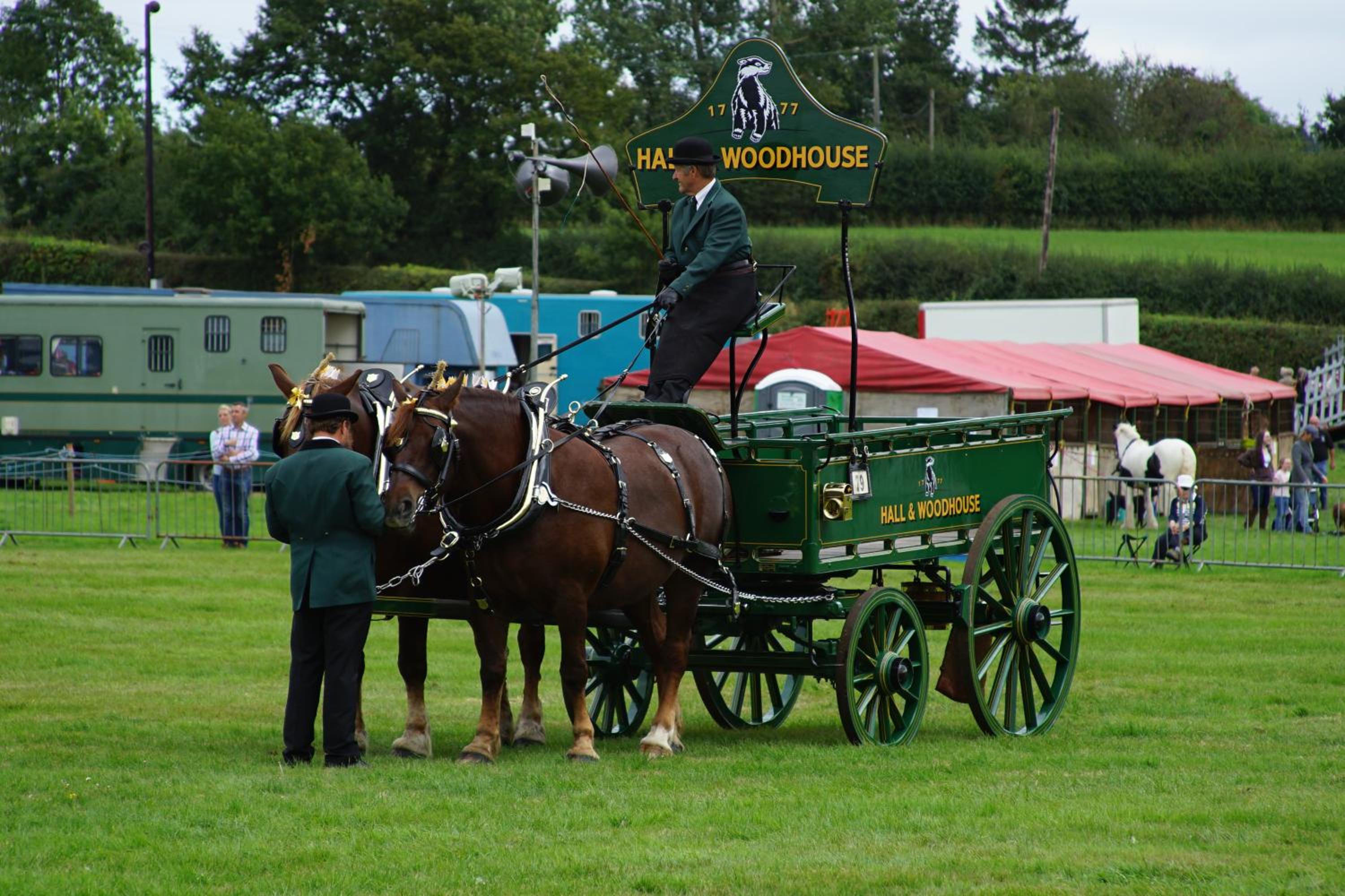 Photo 45