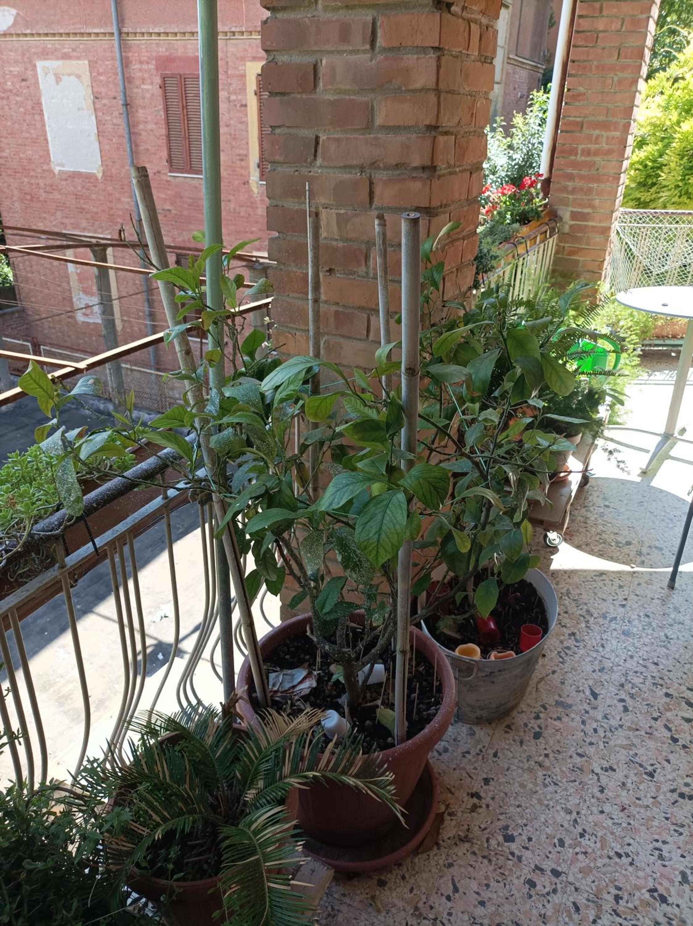 Photo 20
