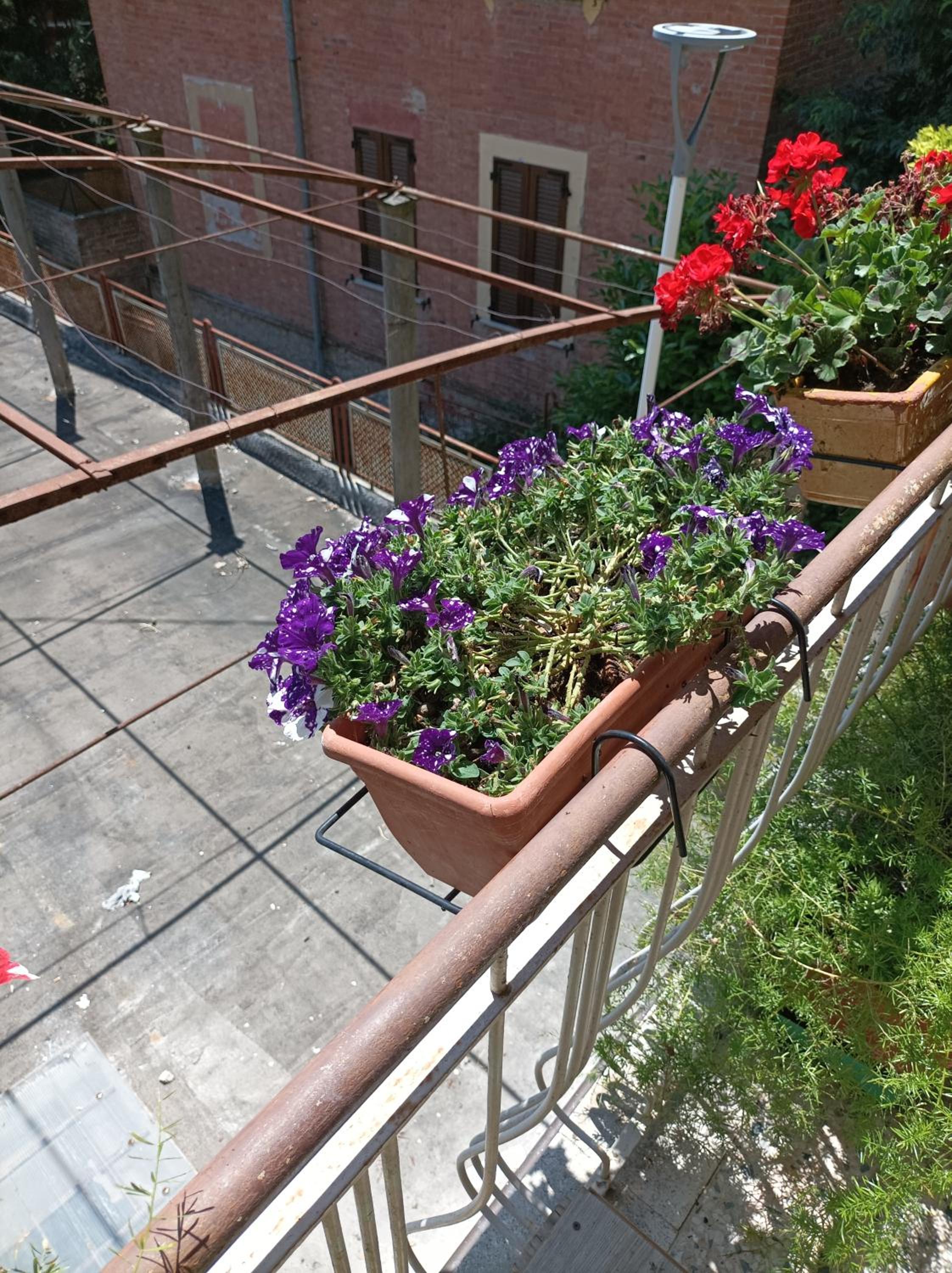 Photo 28