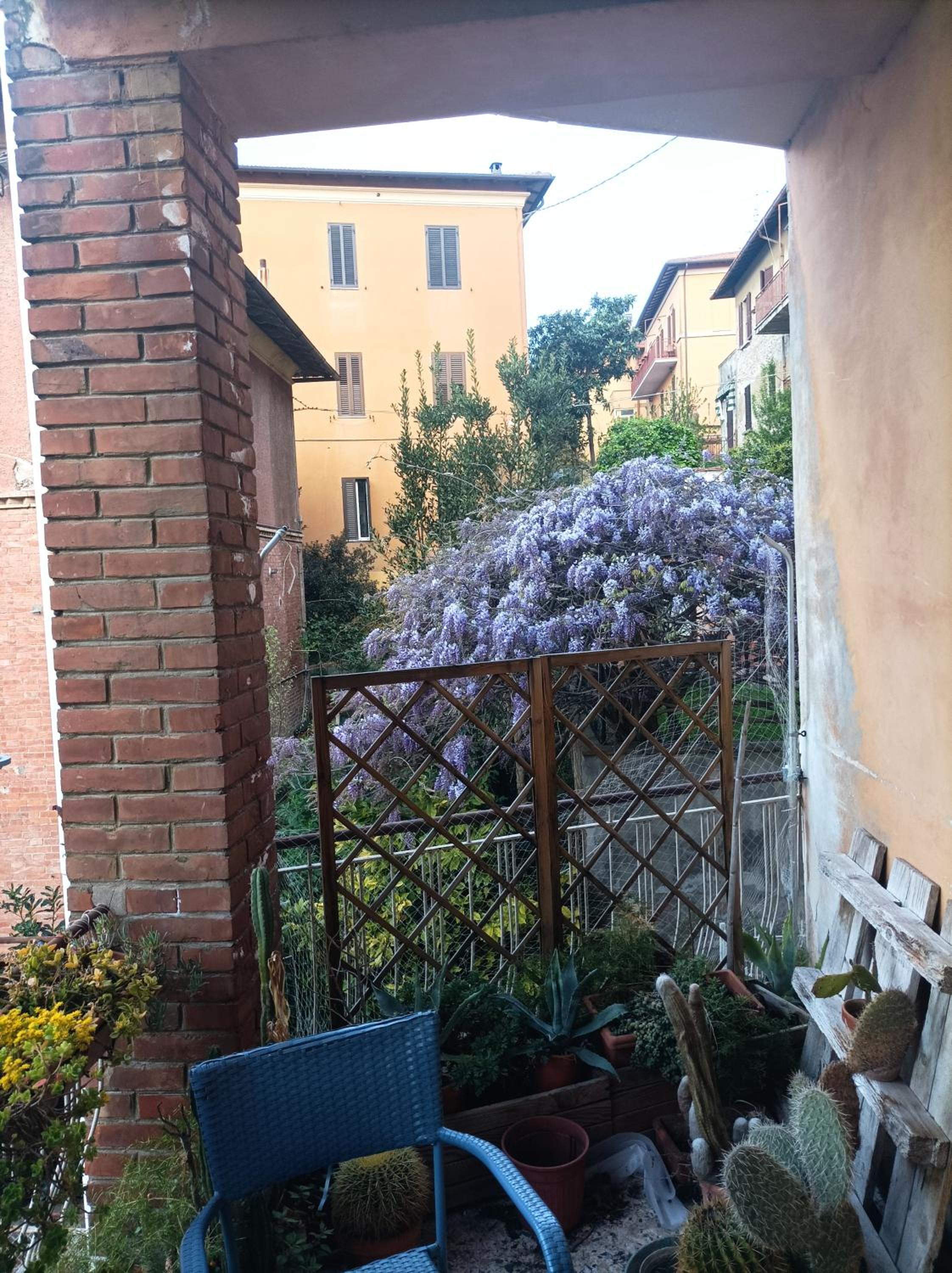 Photo 38
