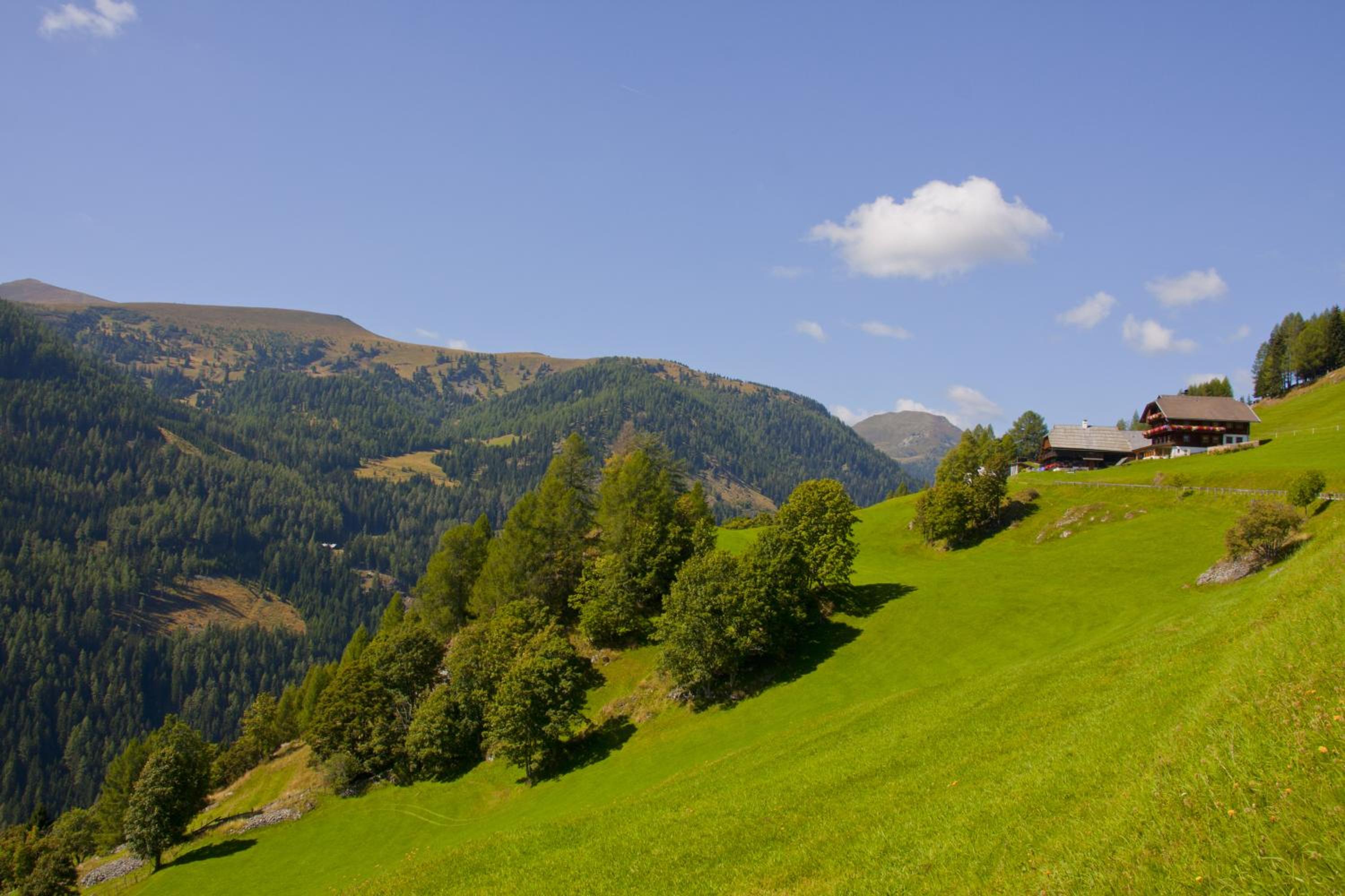 Schrunerhof