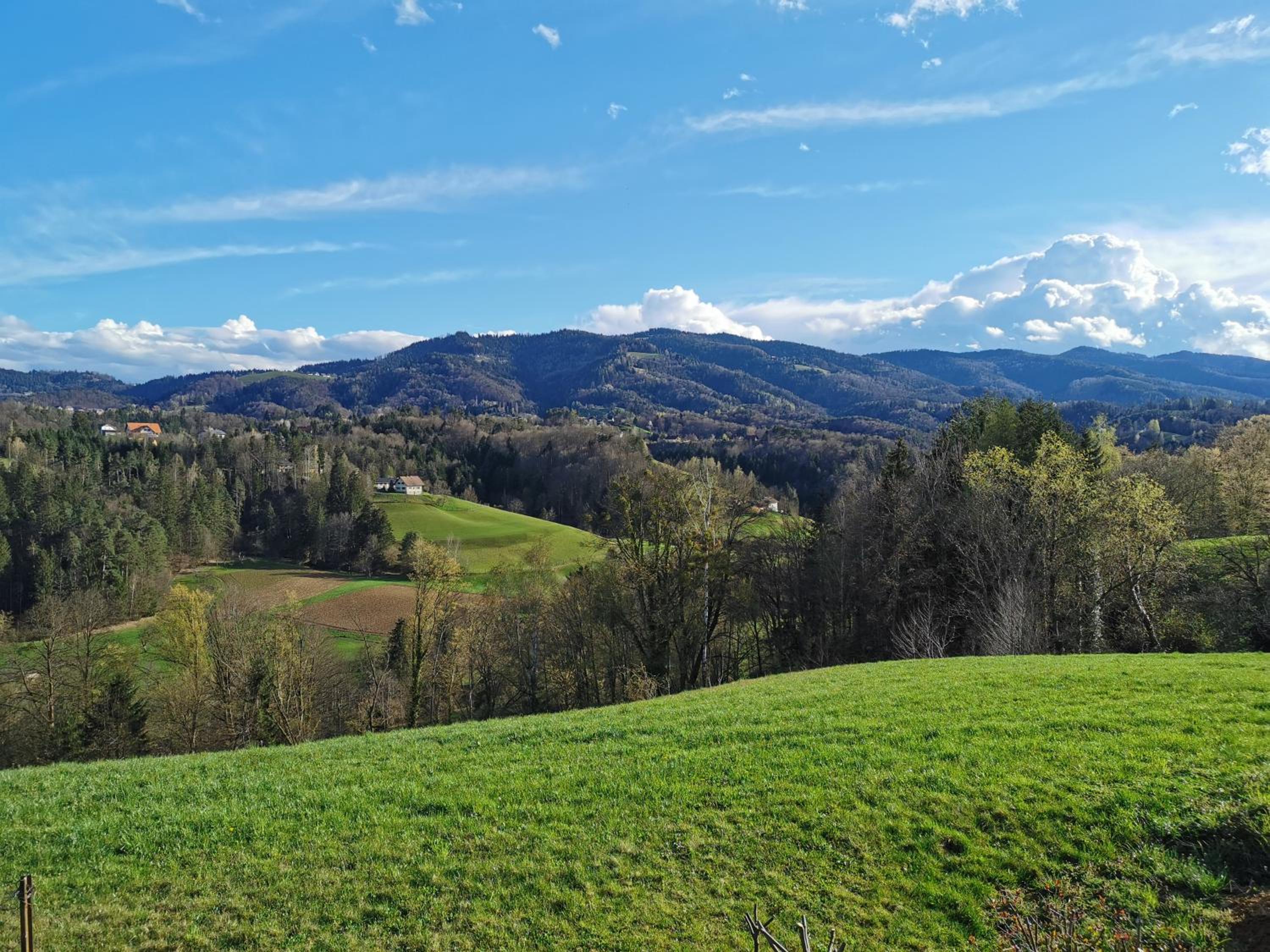 Stilvolles Ferienhaus Südsteiermark ruhige Lage top Aussicht & E-Ladestation