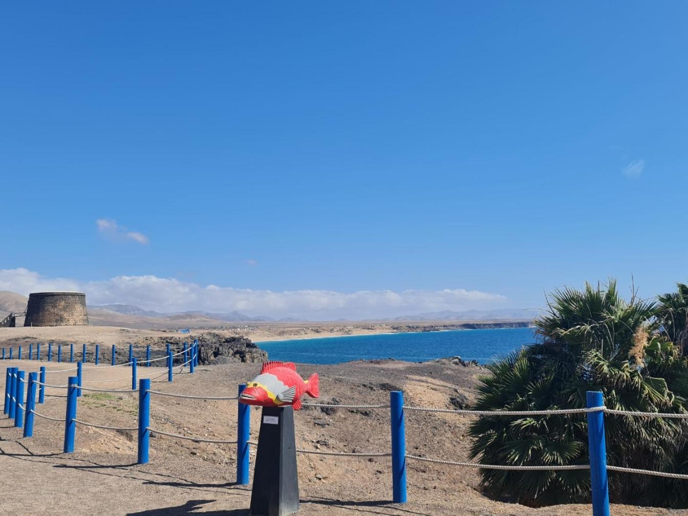 Cotillo Star by NicoleT