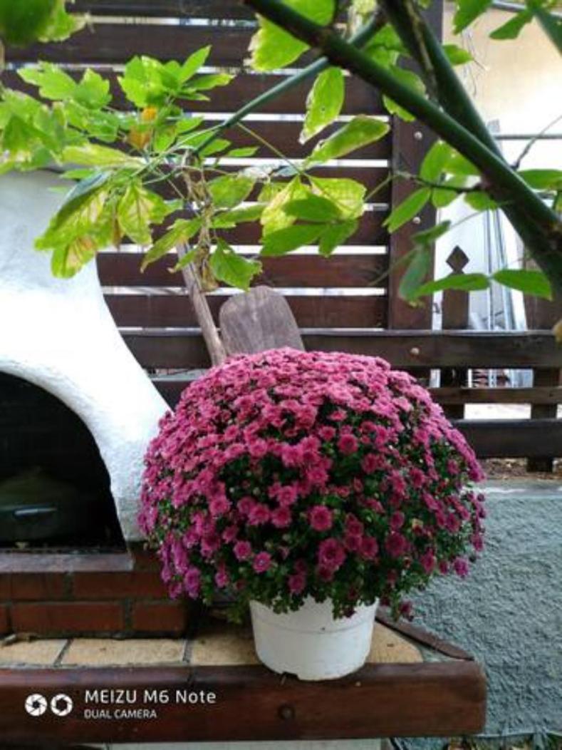 Cosy Vacation in Peraia view 2