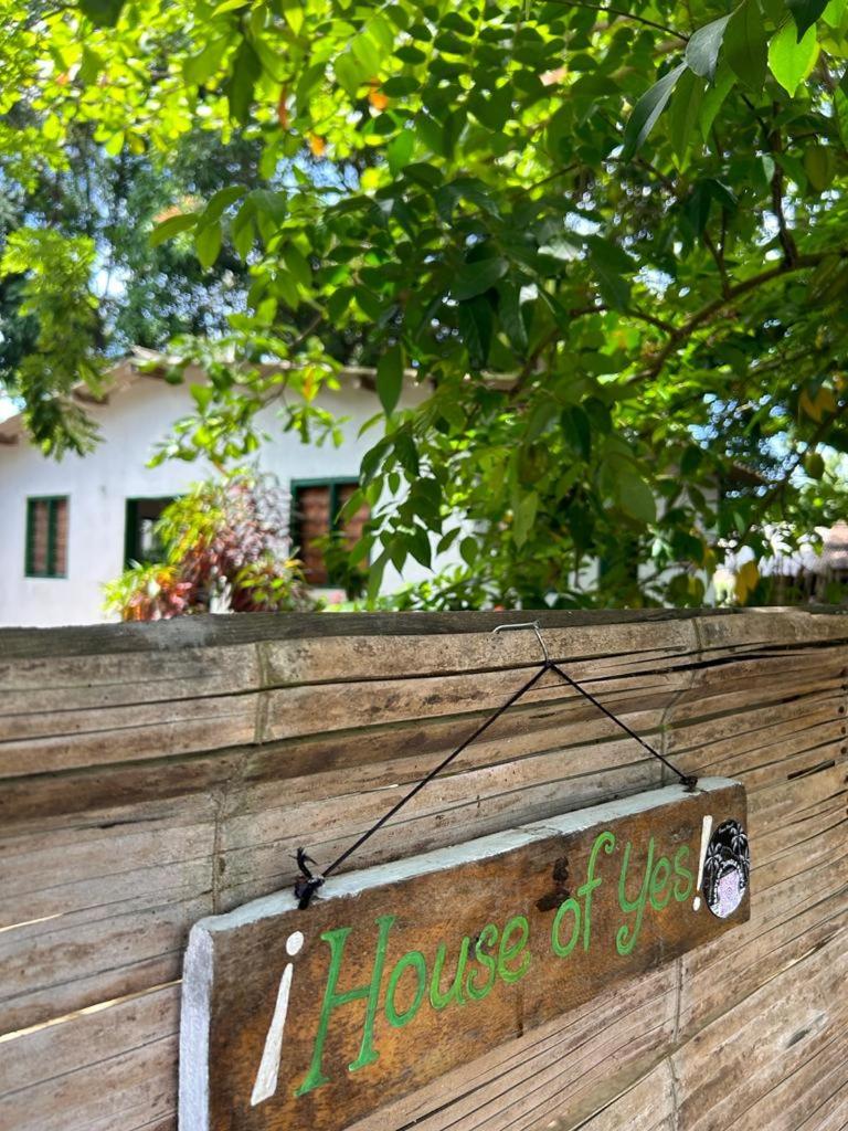 Casa Palomino Flor