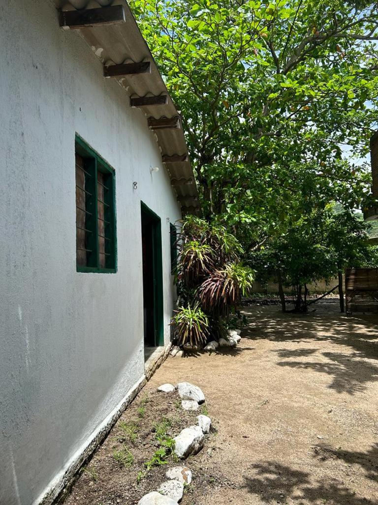 Casa Palomino Flor