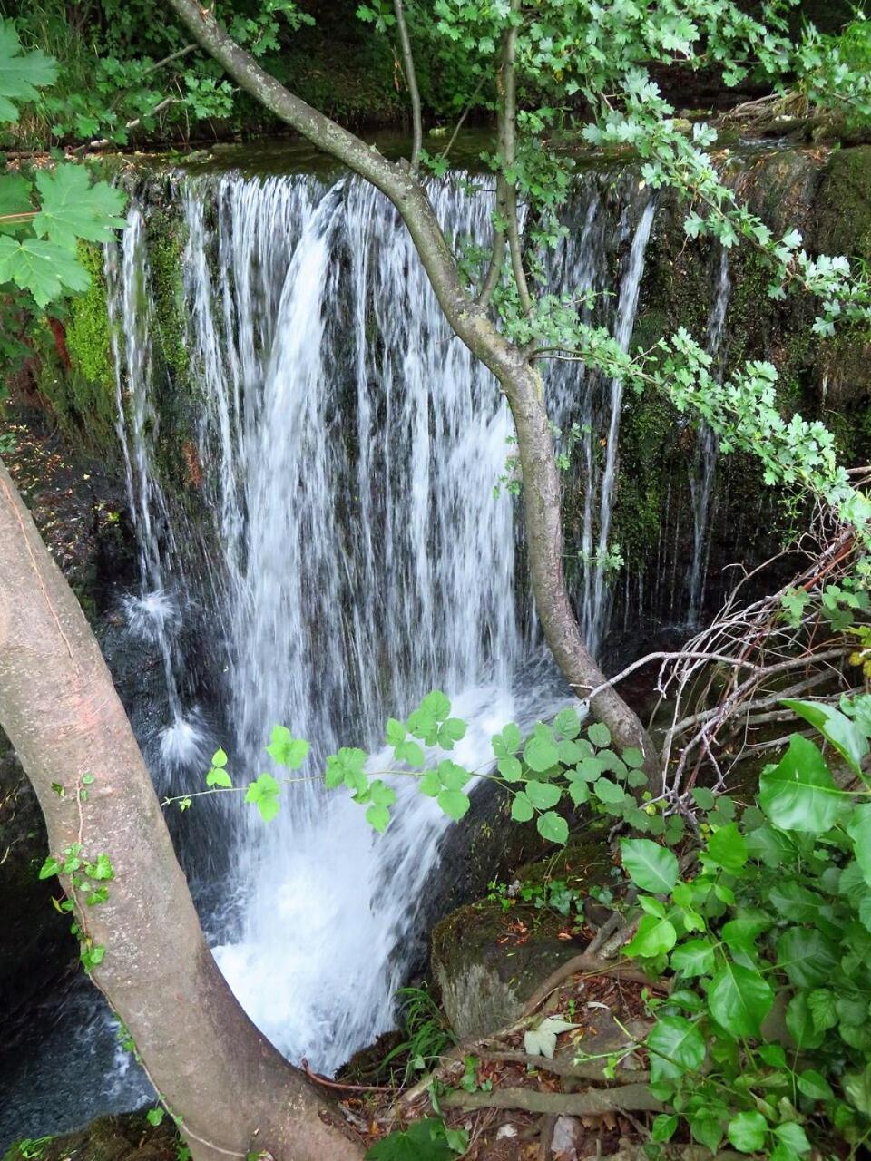 Photo 25