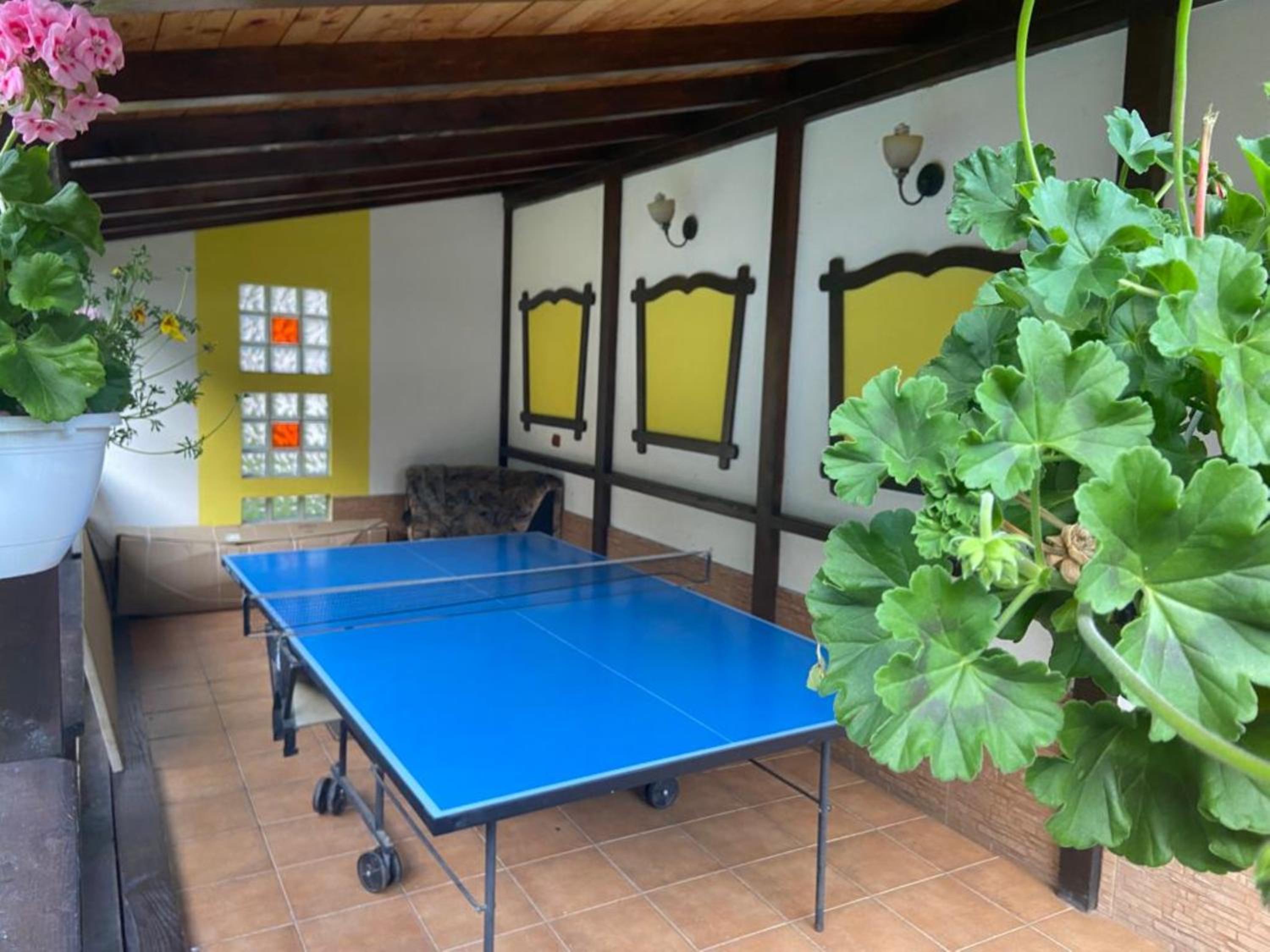 Apartament Darius