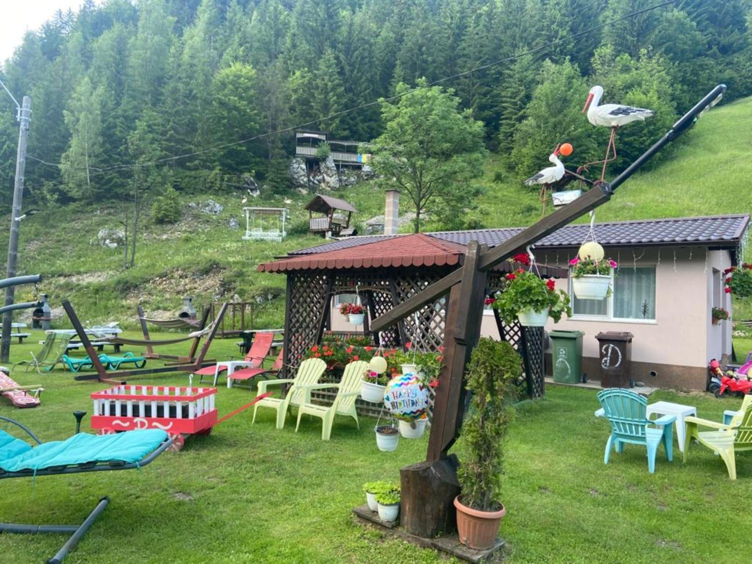 Apartament Darius