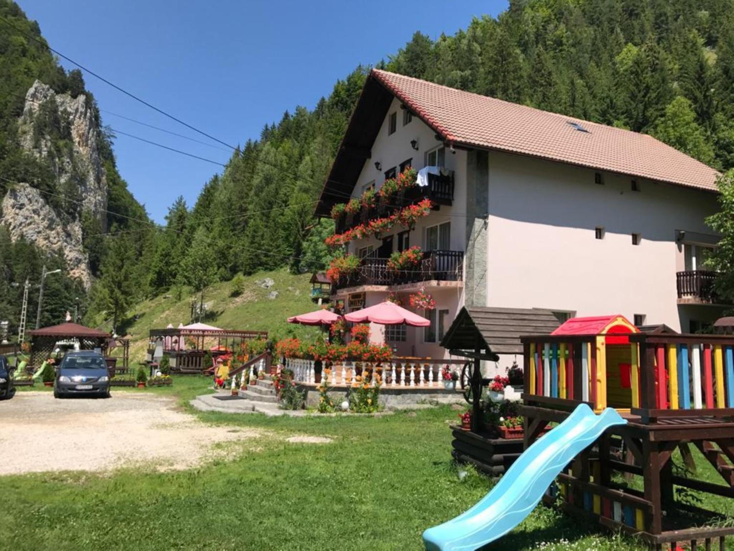 Apartament Darius