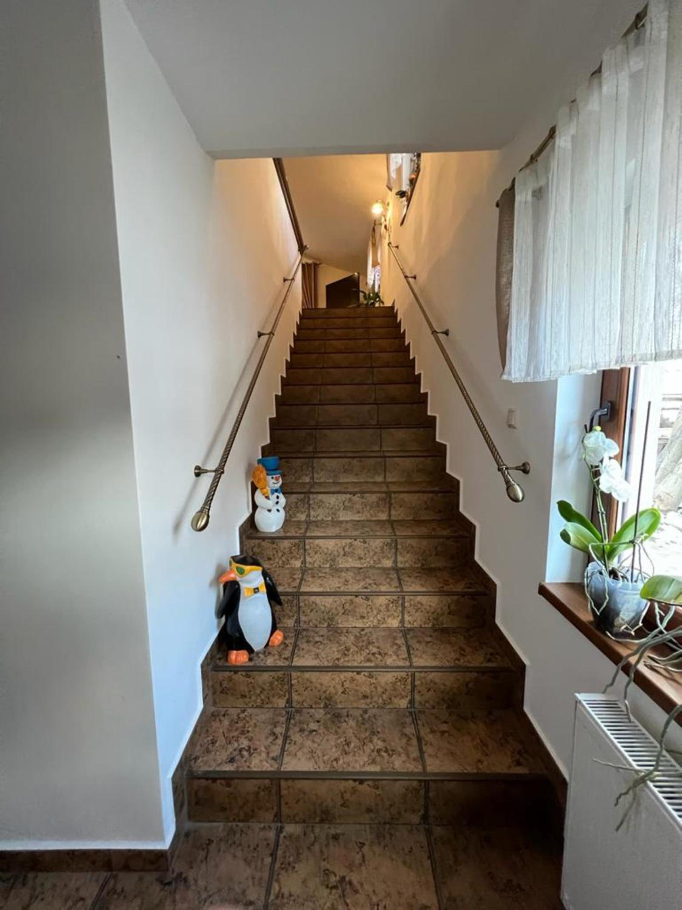 Apartament Darius