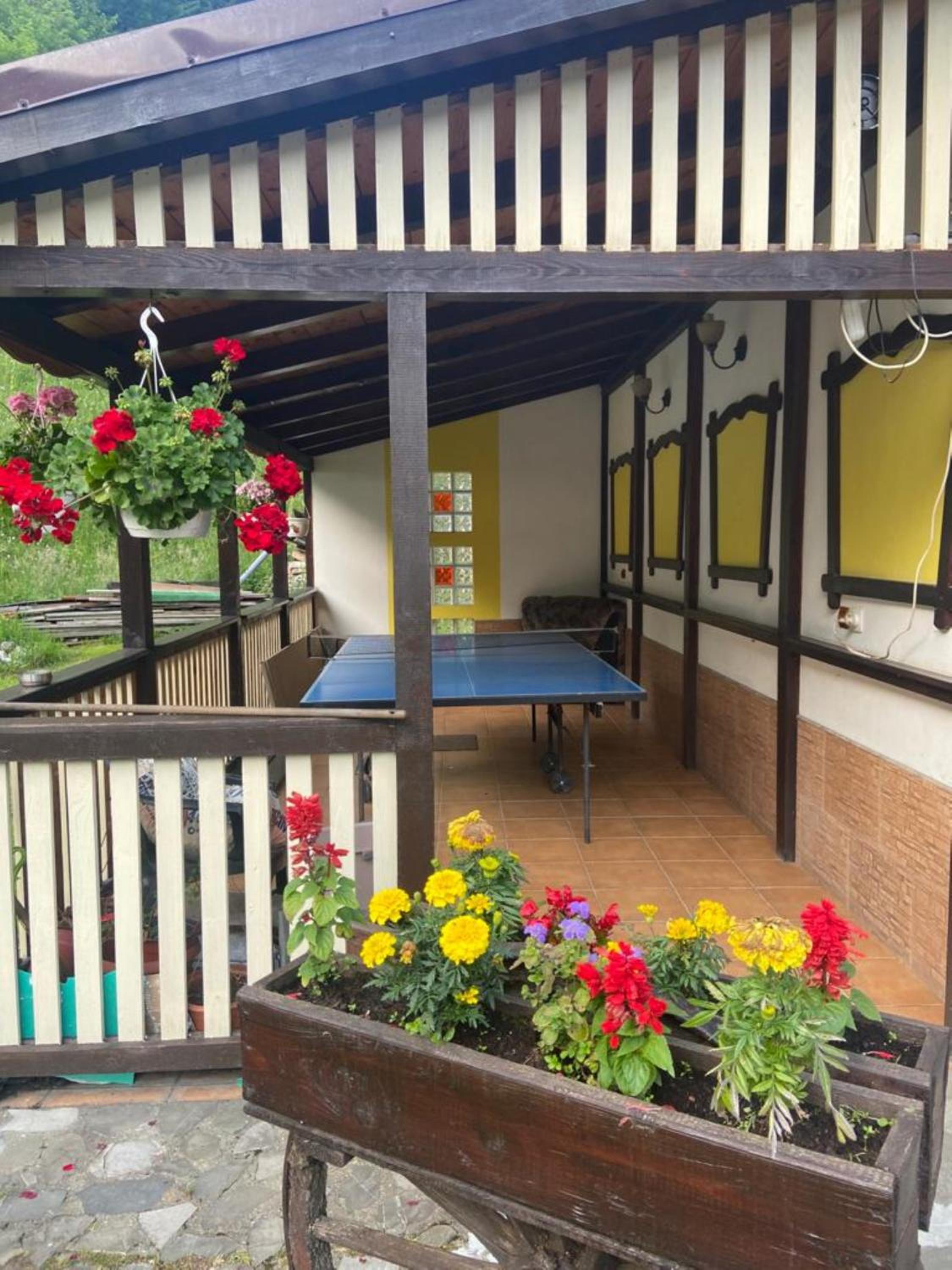 Apartament Darius