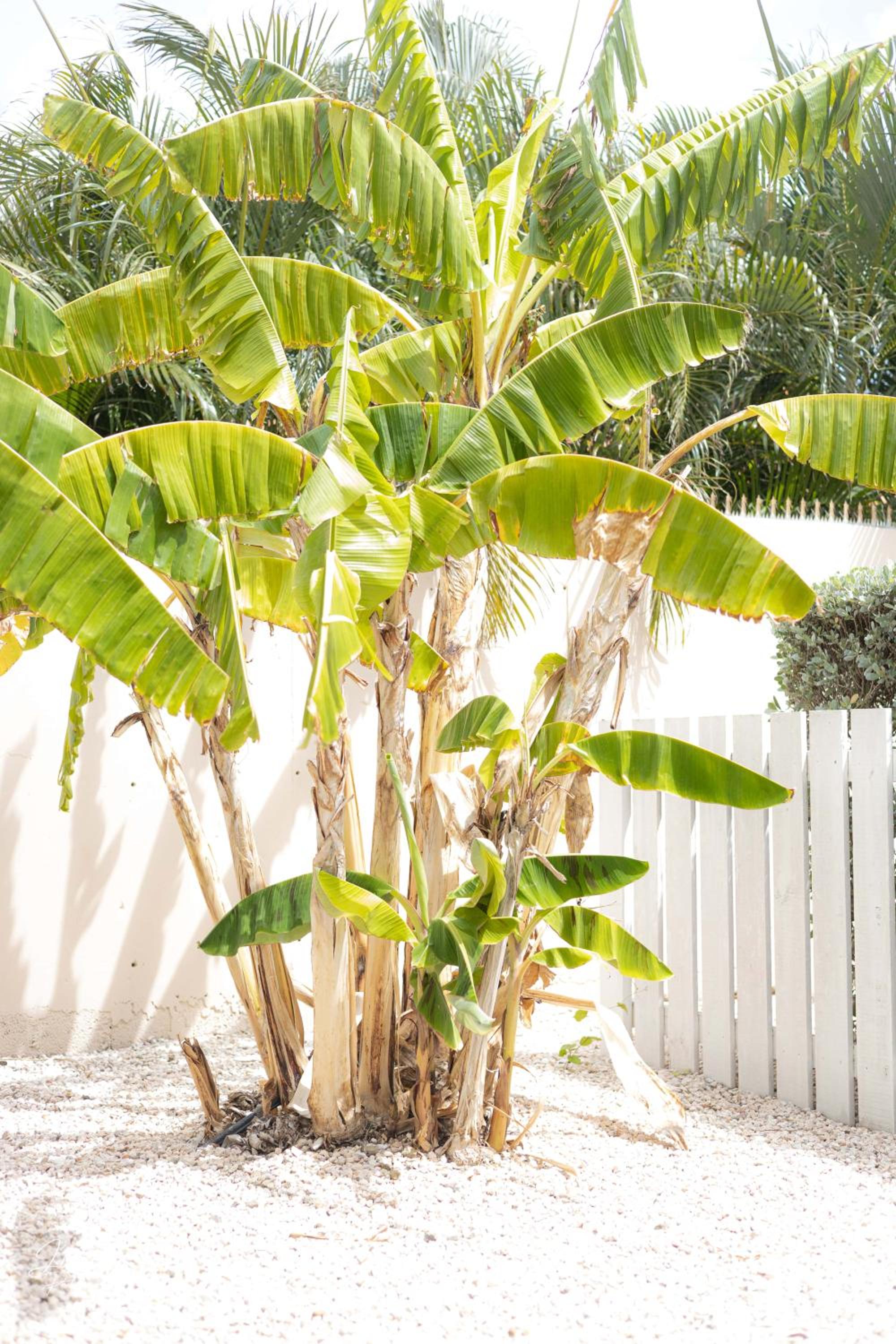 Dushi Townhouse Curaçao