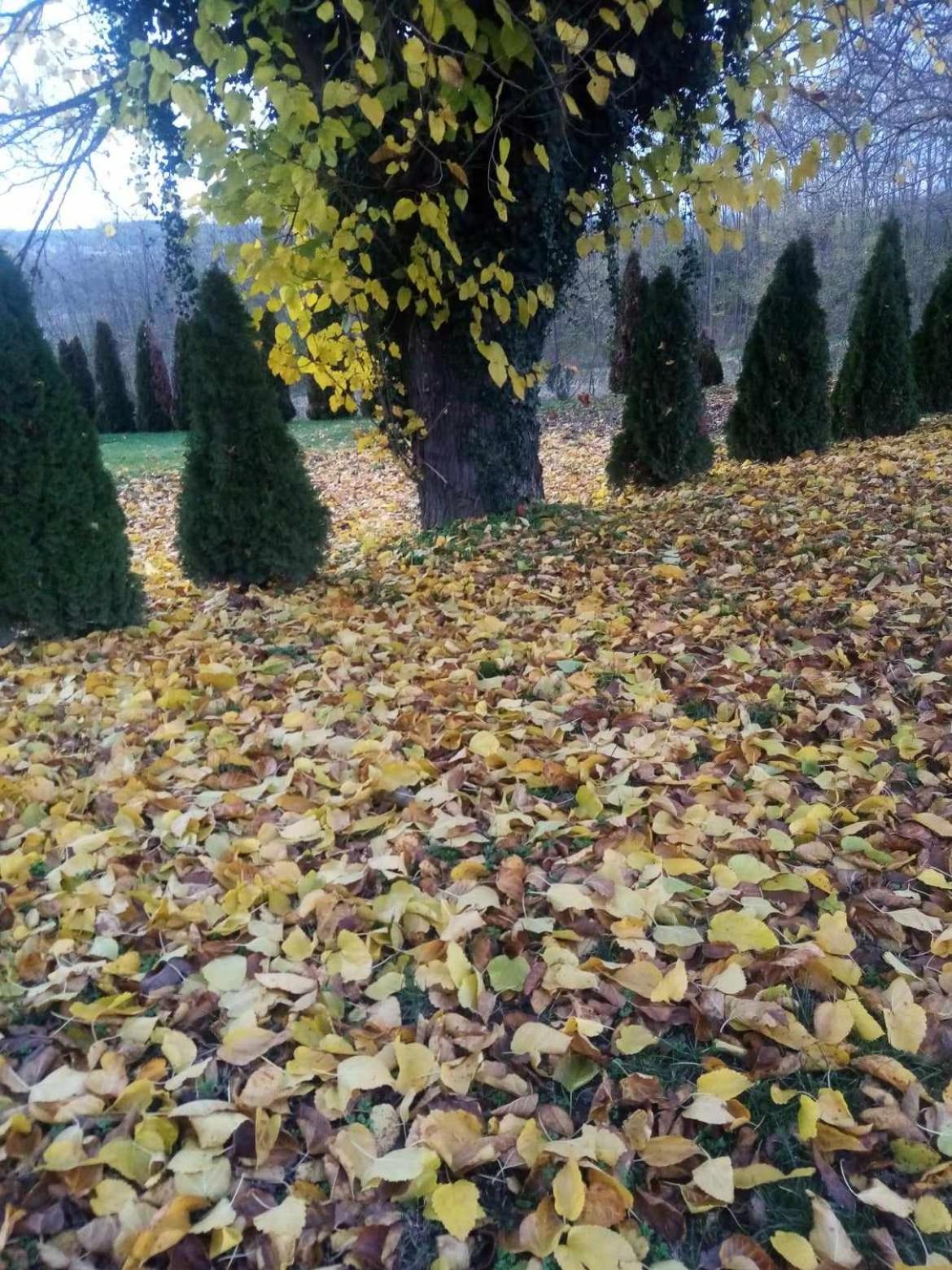 Kiskassa Vendégház