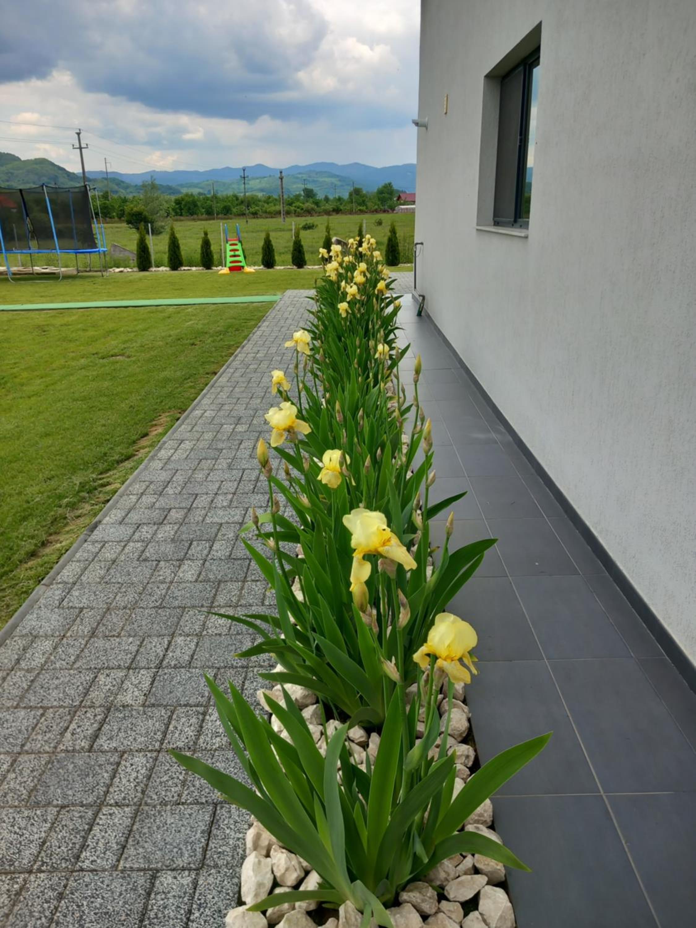 Photo 44