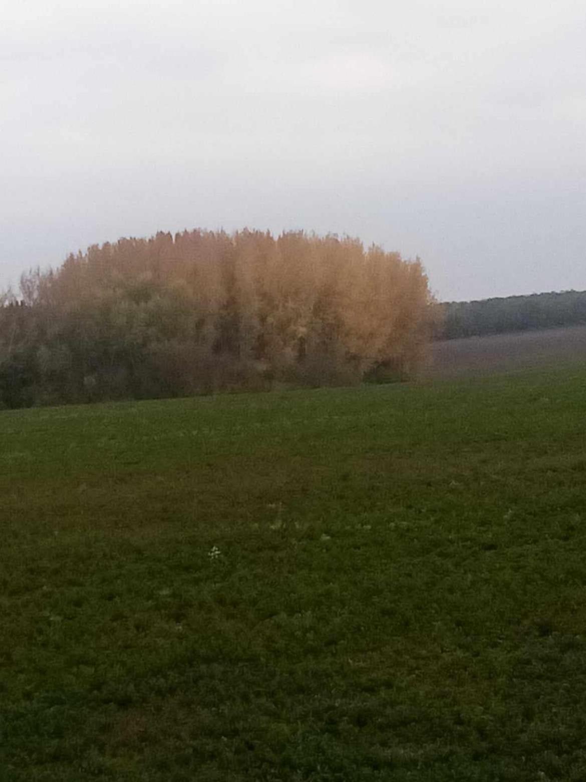 Kiskassa Vendégház