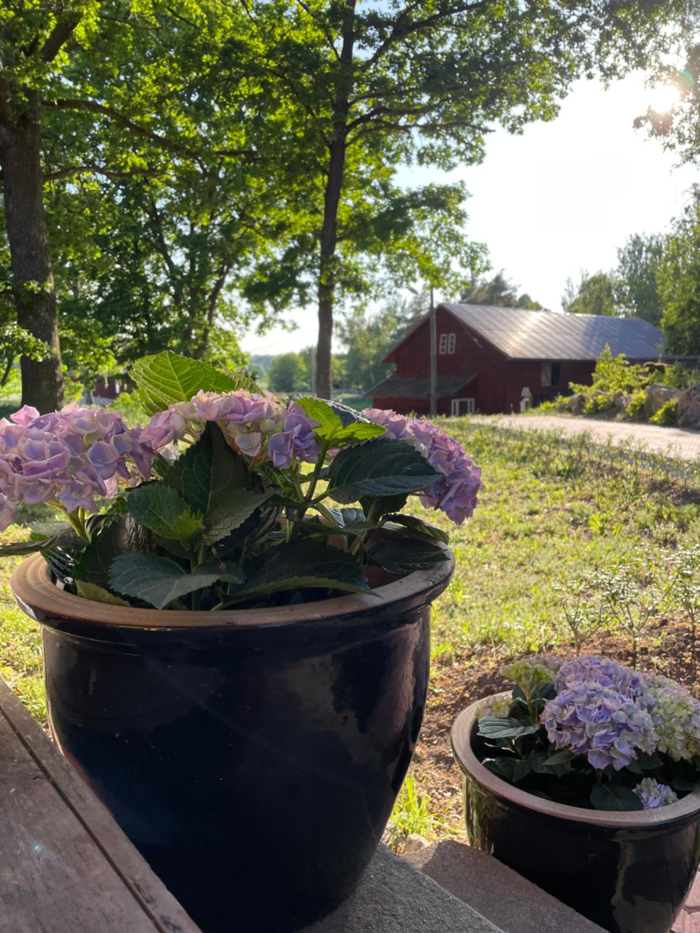 Bärsta Bagarstugan BnB