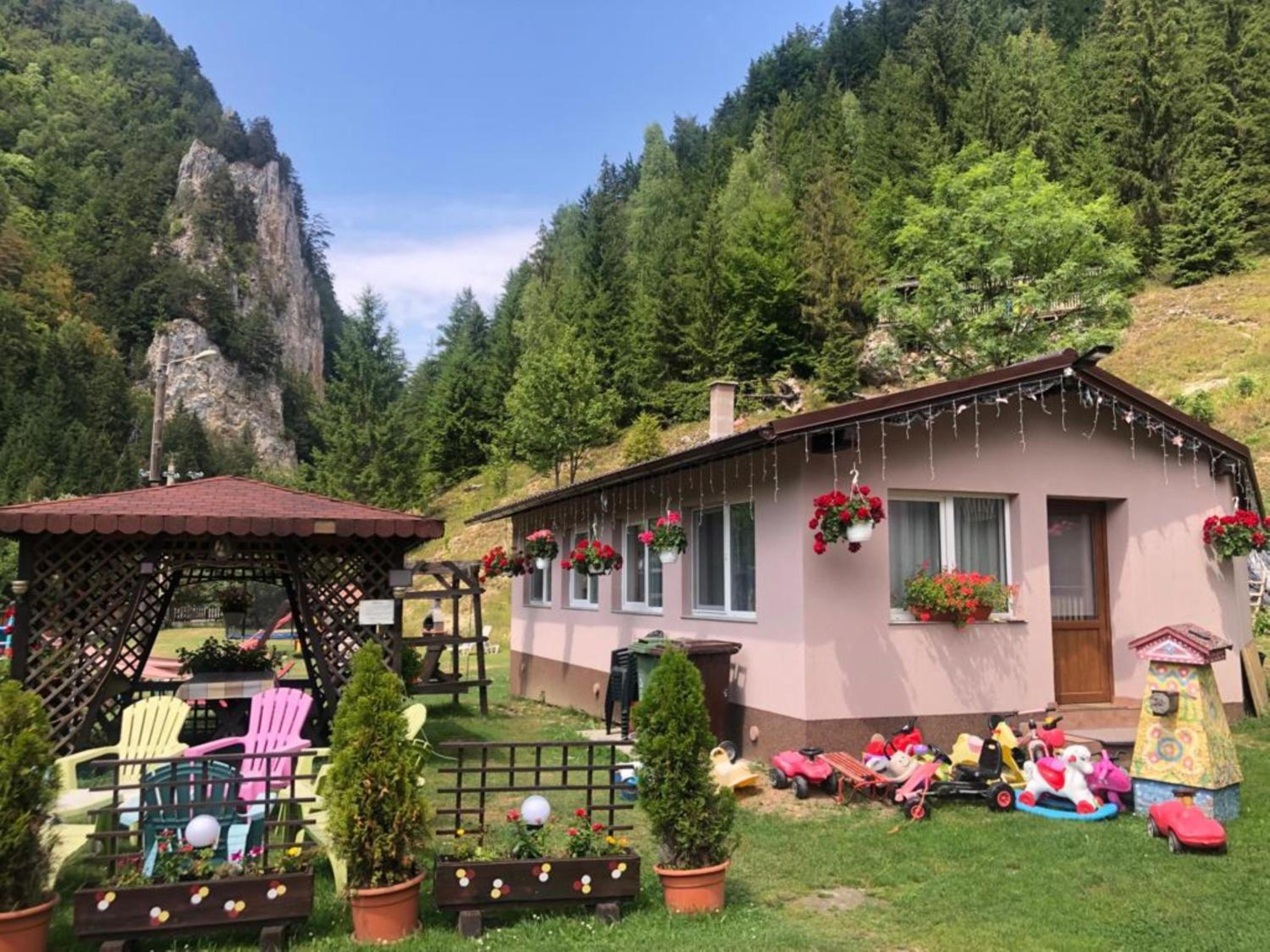 Apartament Darius