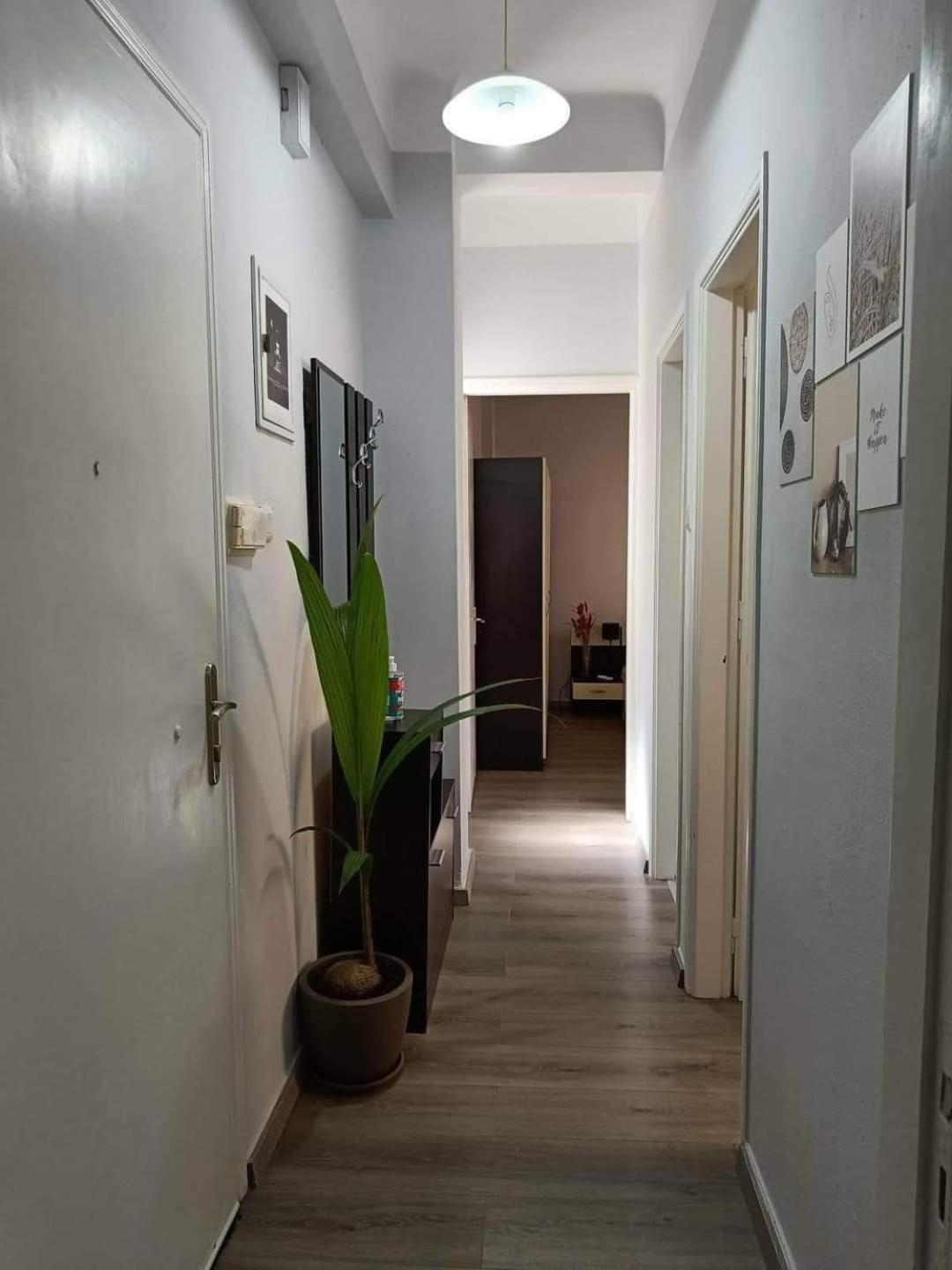 Helena's house photo 5