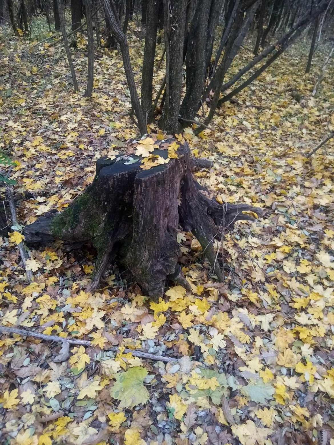 Kiskassa Vendégház