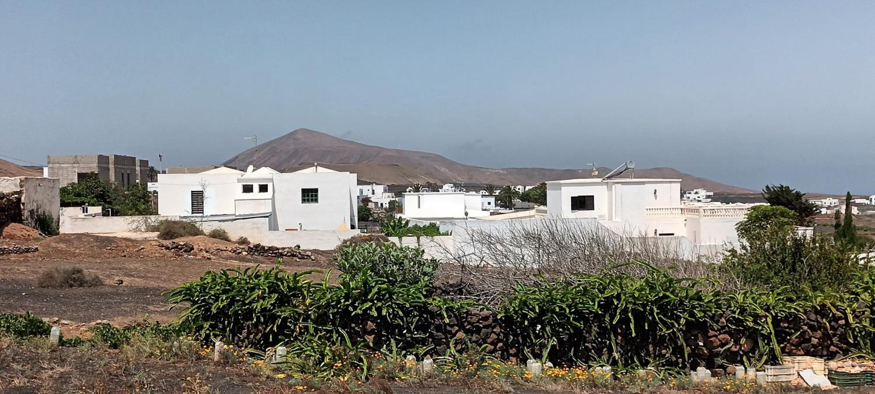Apartamentos Falcón