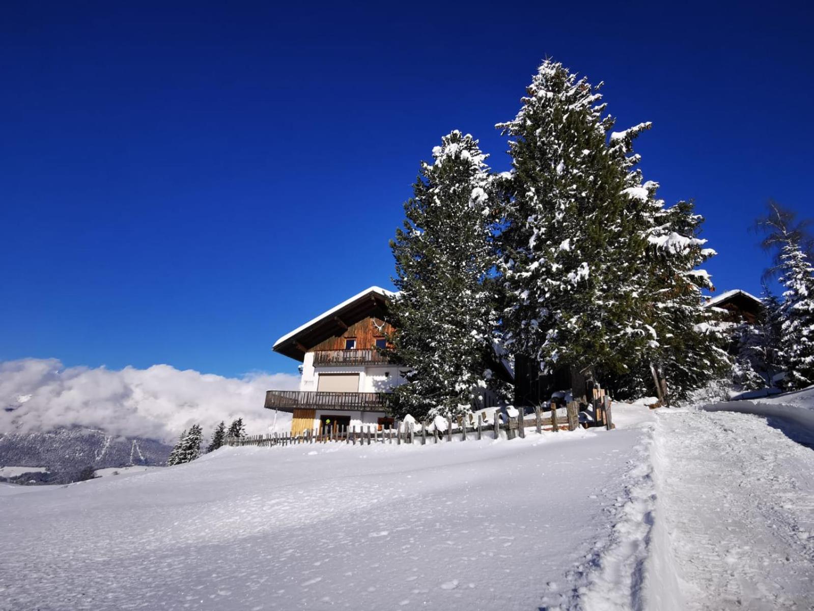 ÜberINNtaler Appartement Tirol