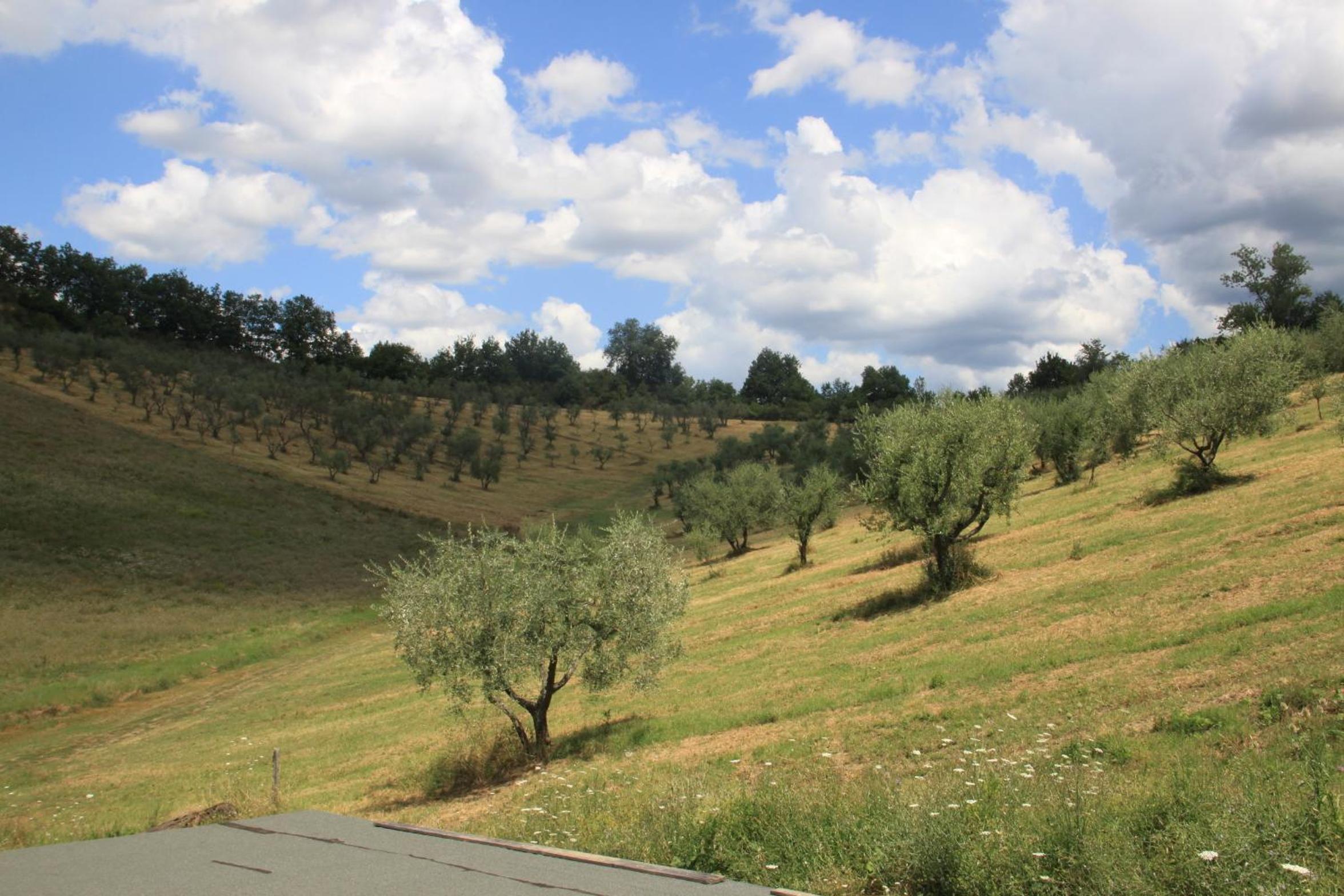 Agriturismo Le Buche di Viesca