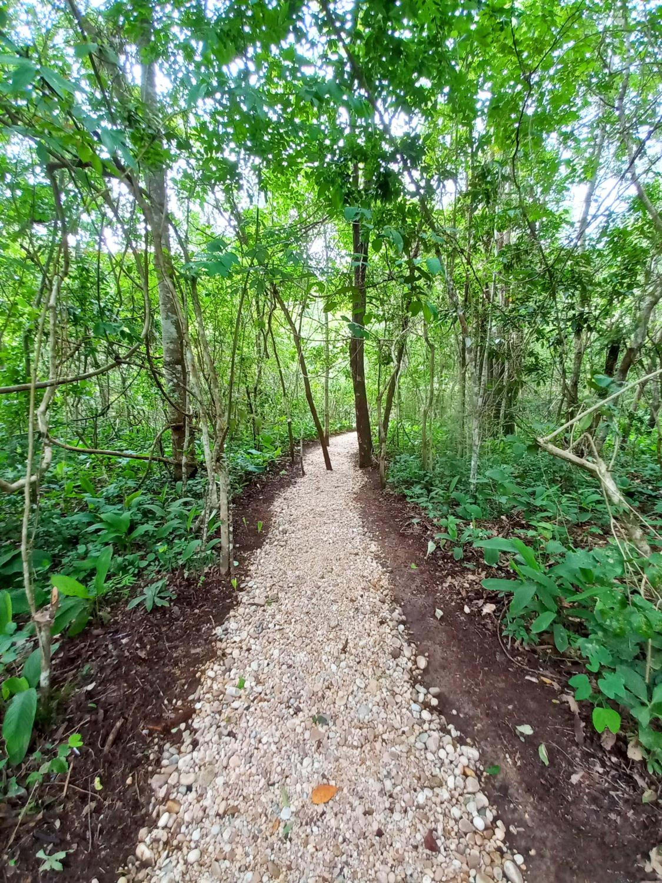 Vila Floresta - Chalé da Mata