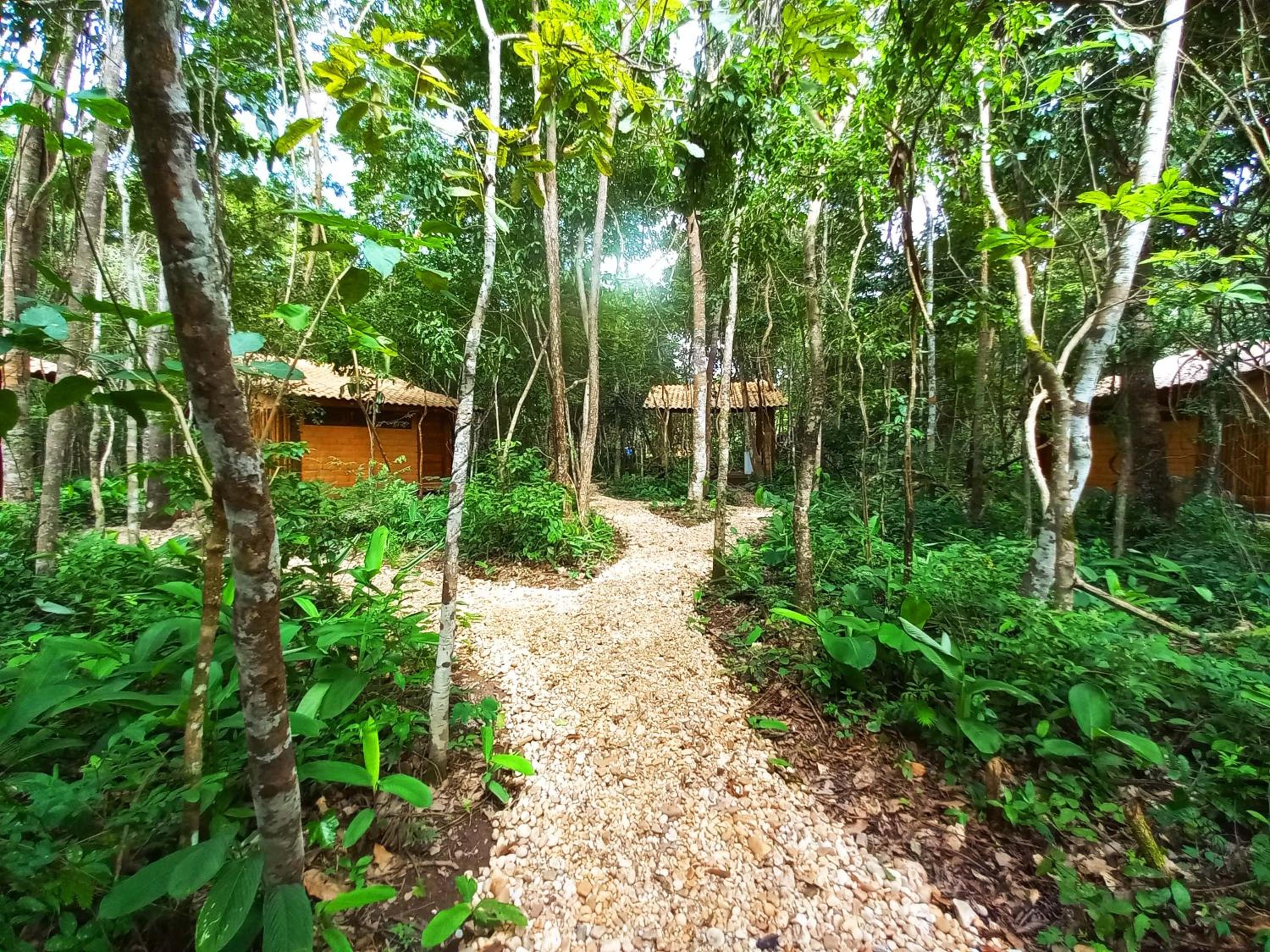 Vila Floresta - Chalé da Mata