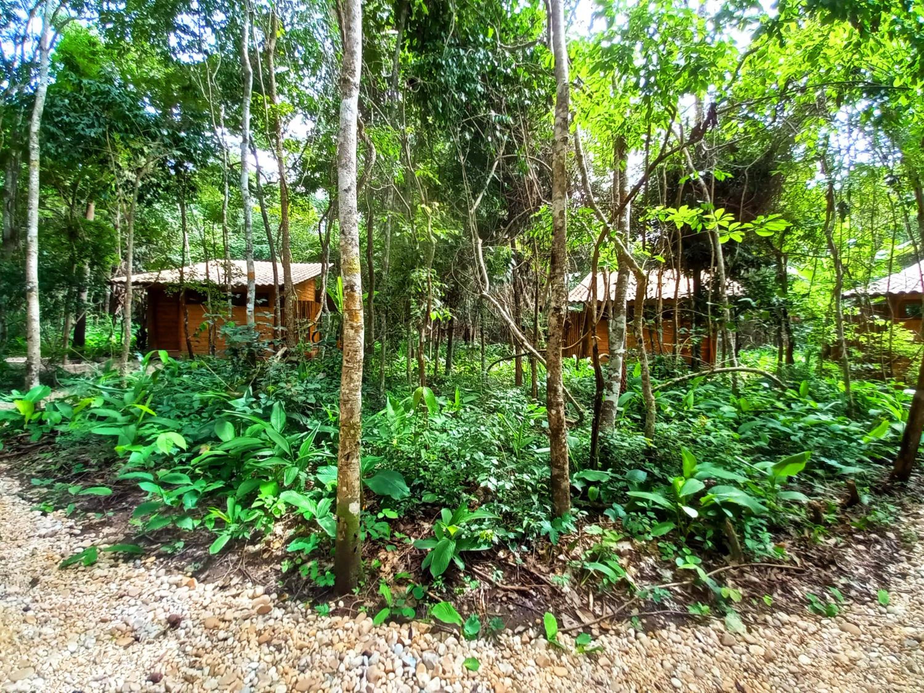 Vila Floresta - Chalé da Mata