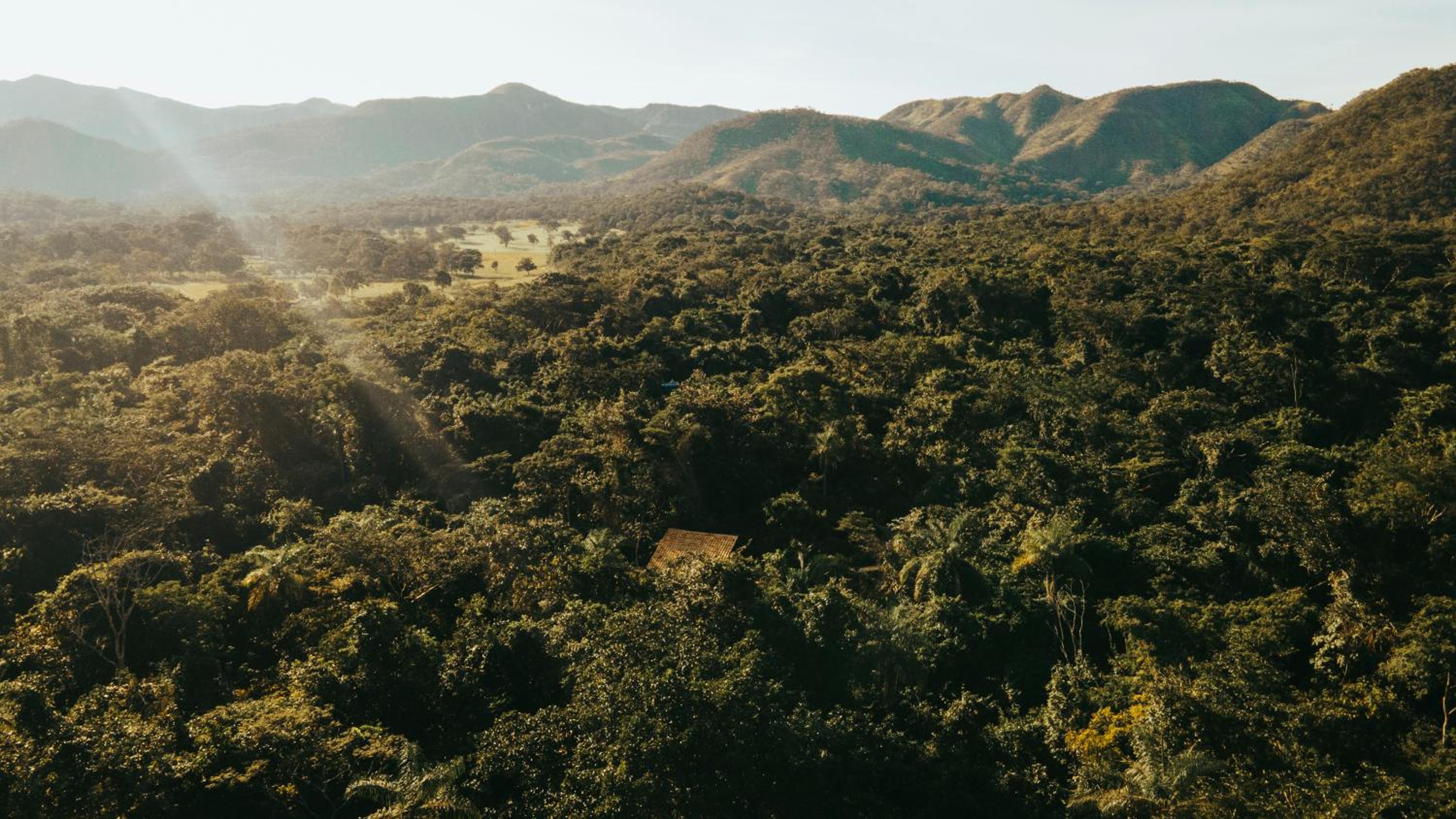 Vila Floresta - Chalé da Mata