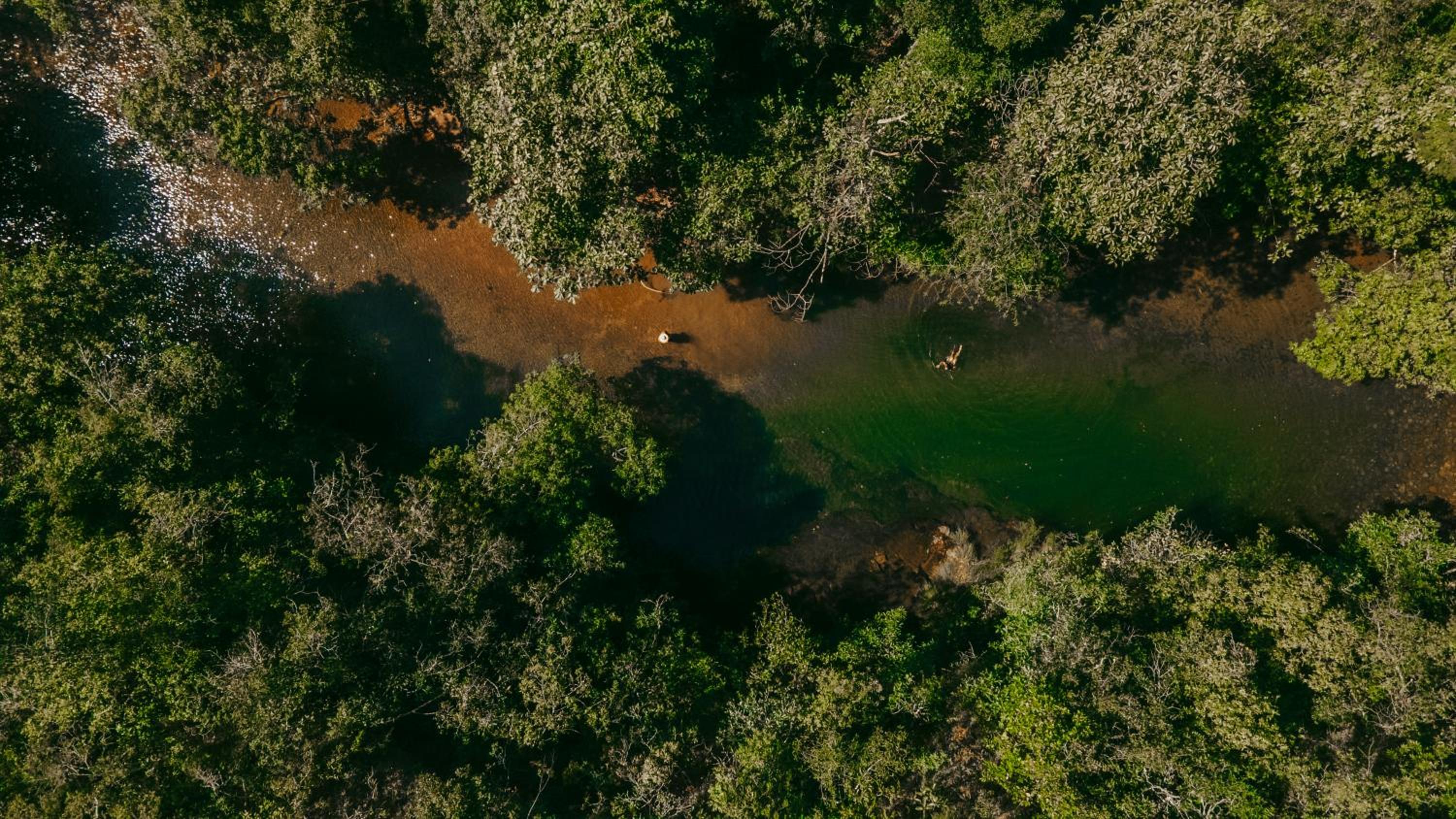 Vila Floresta - Chalé da Mata