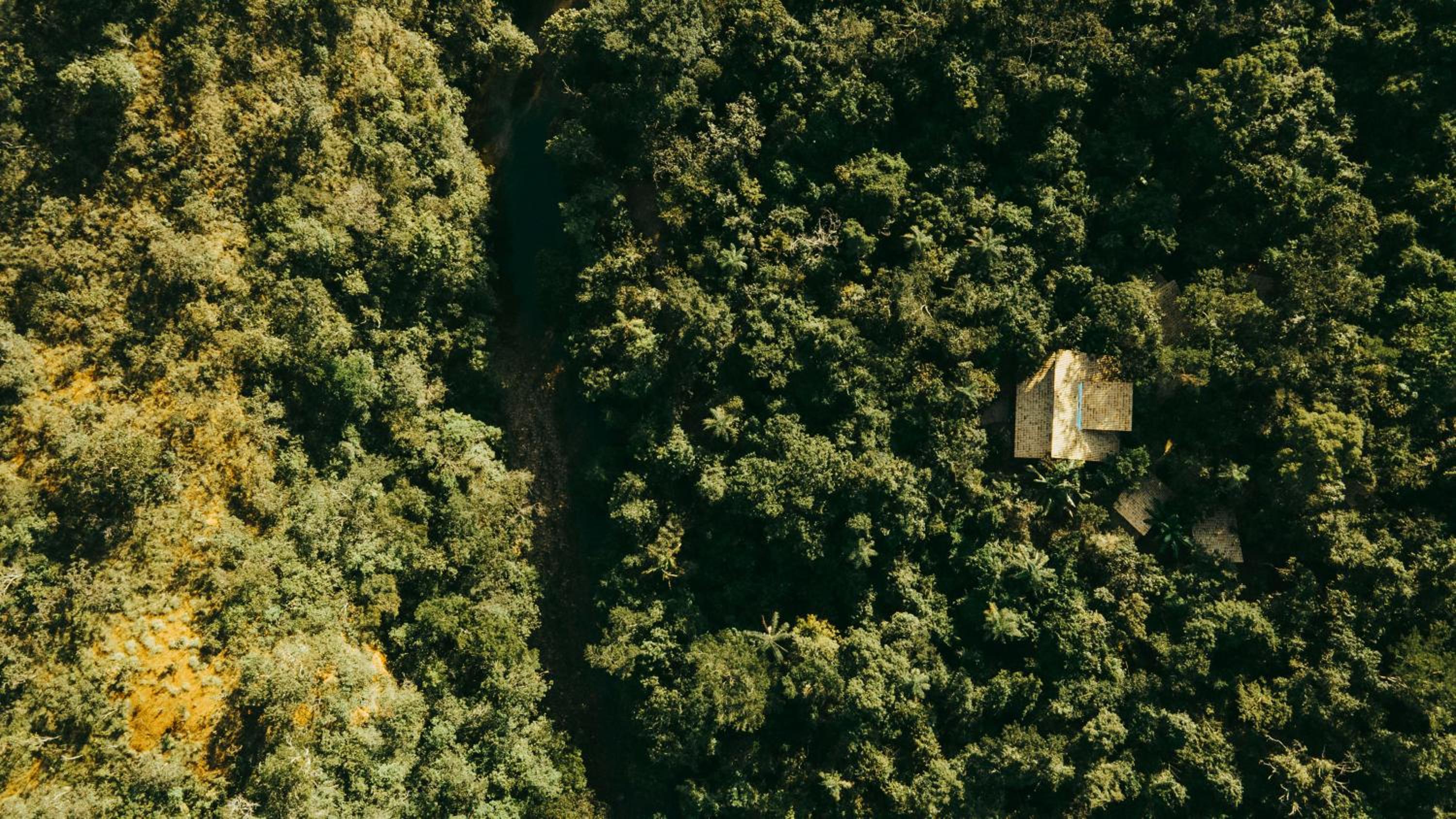 Vila Floresta - Chalé da Mata