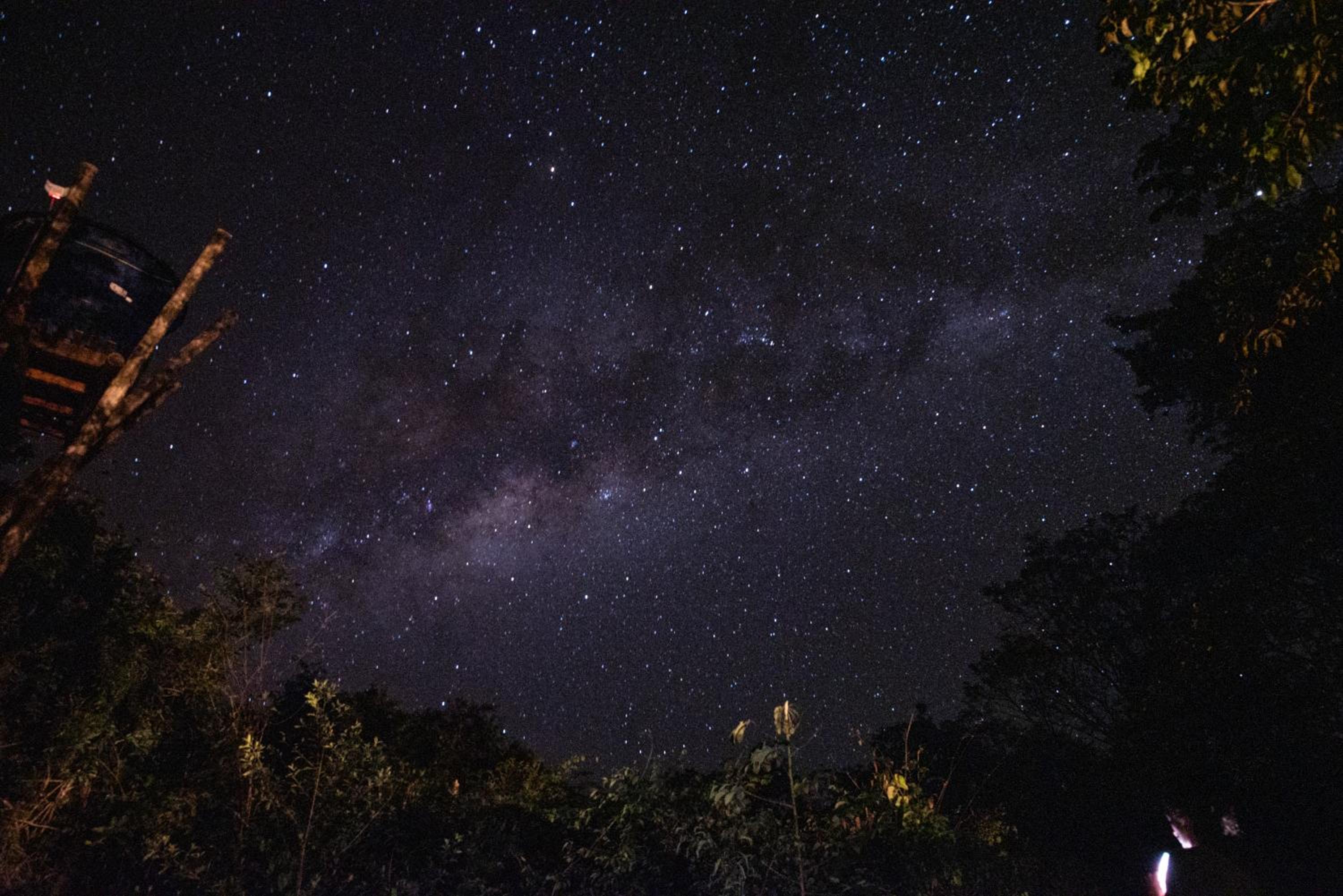 Vila Floresta - Chalé da Mata