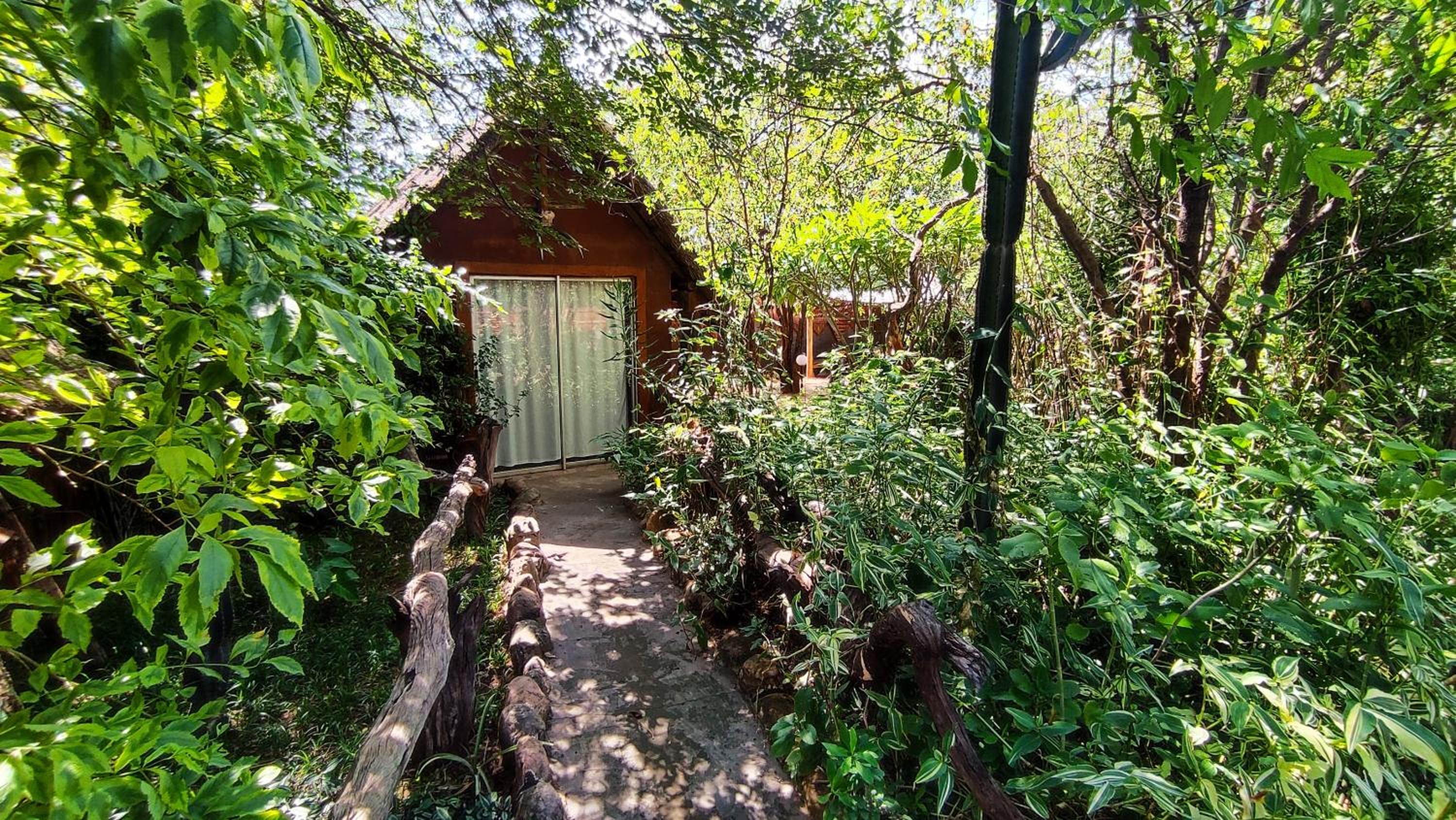 Elephant Trail Guesthouse and Backpackers