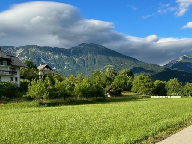 Photo 27