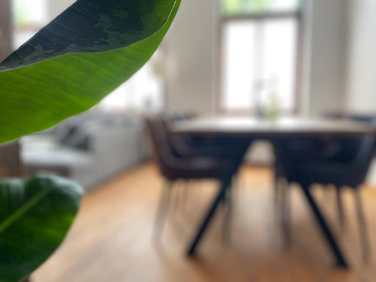 homey Apartments Park Suite