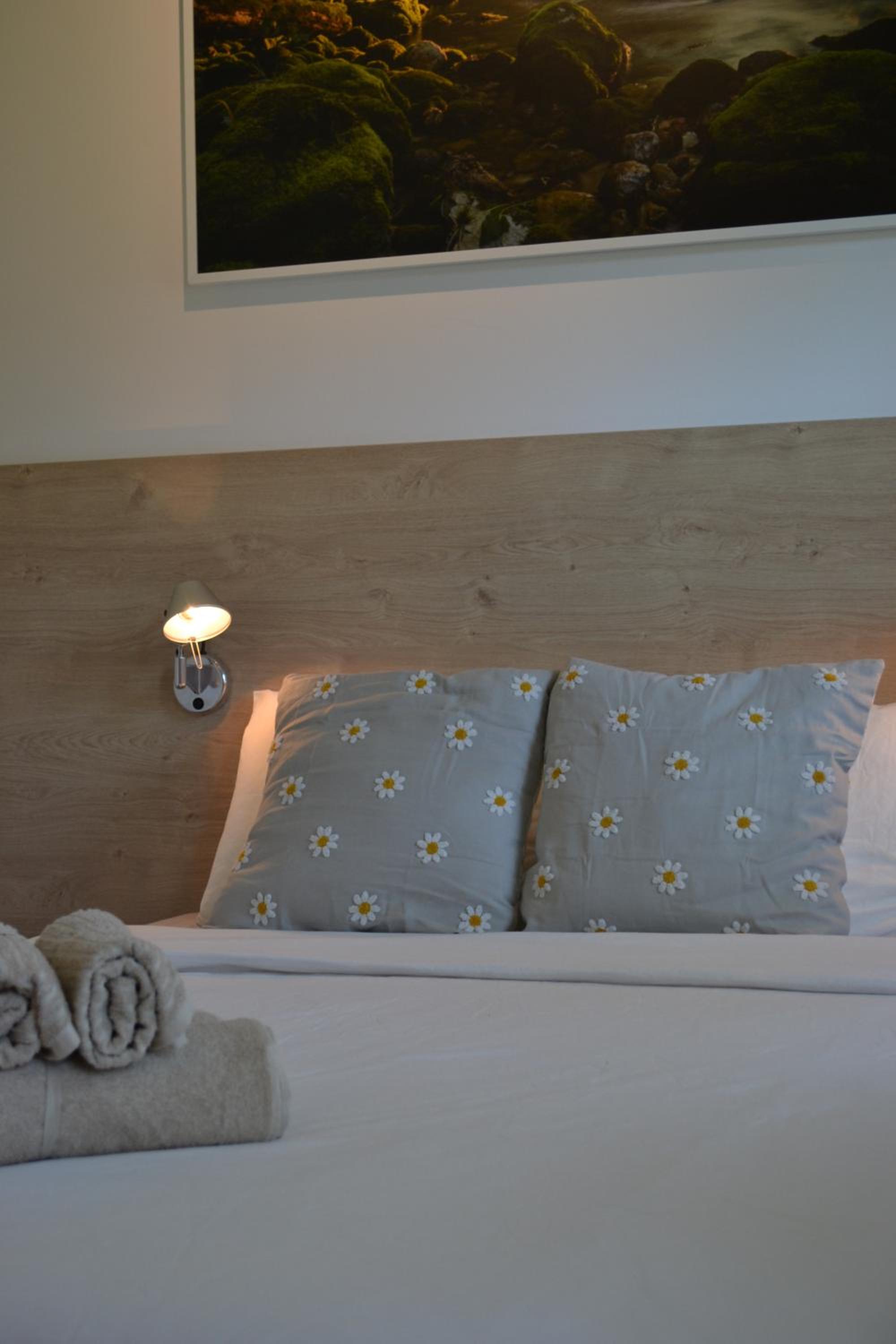 APARTMA VODNIK