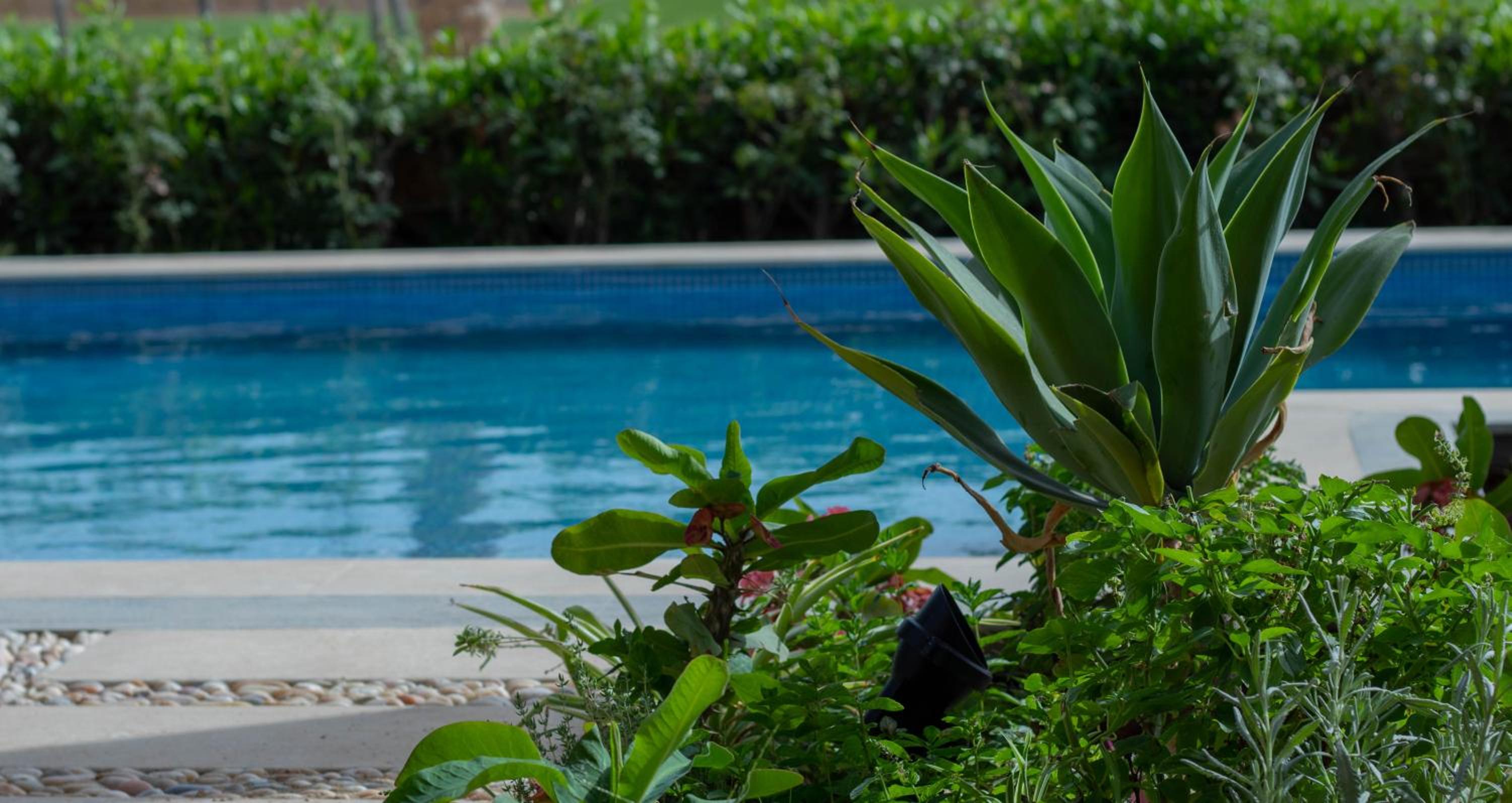 Safty Palm Oasis Private Pool & Beach Access view 2