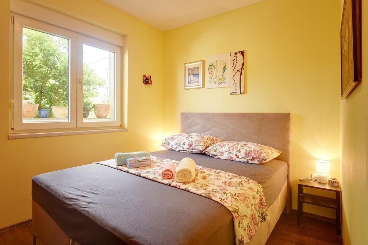 Apartment Mimo