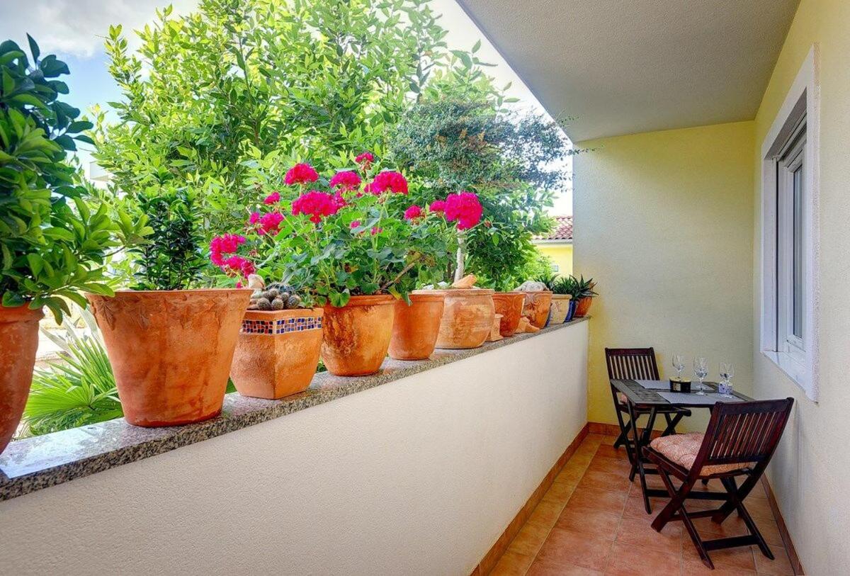 Apartment Mimo