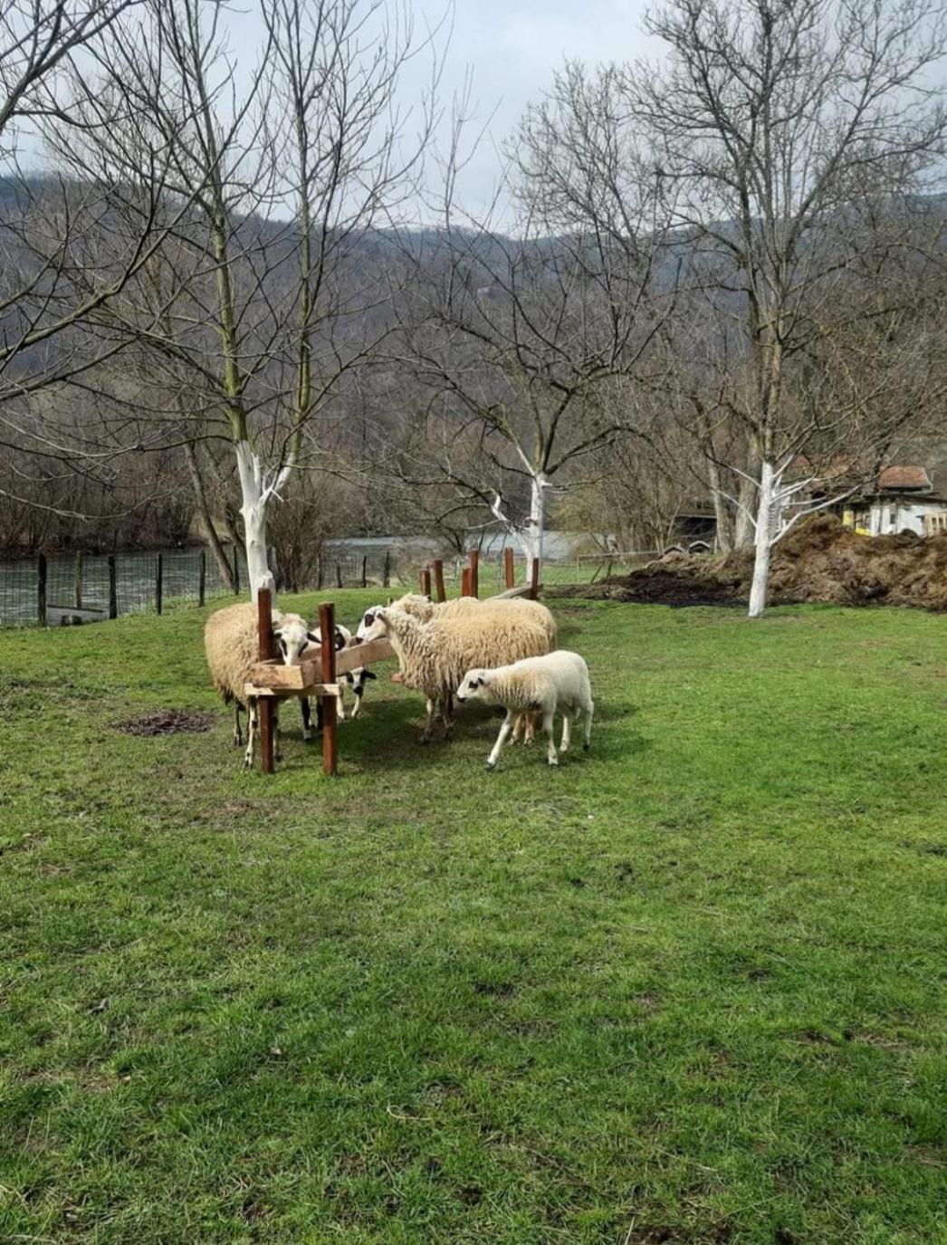 Kuća za odmor 