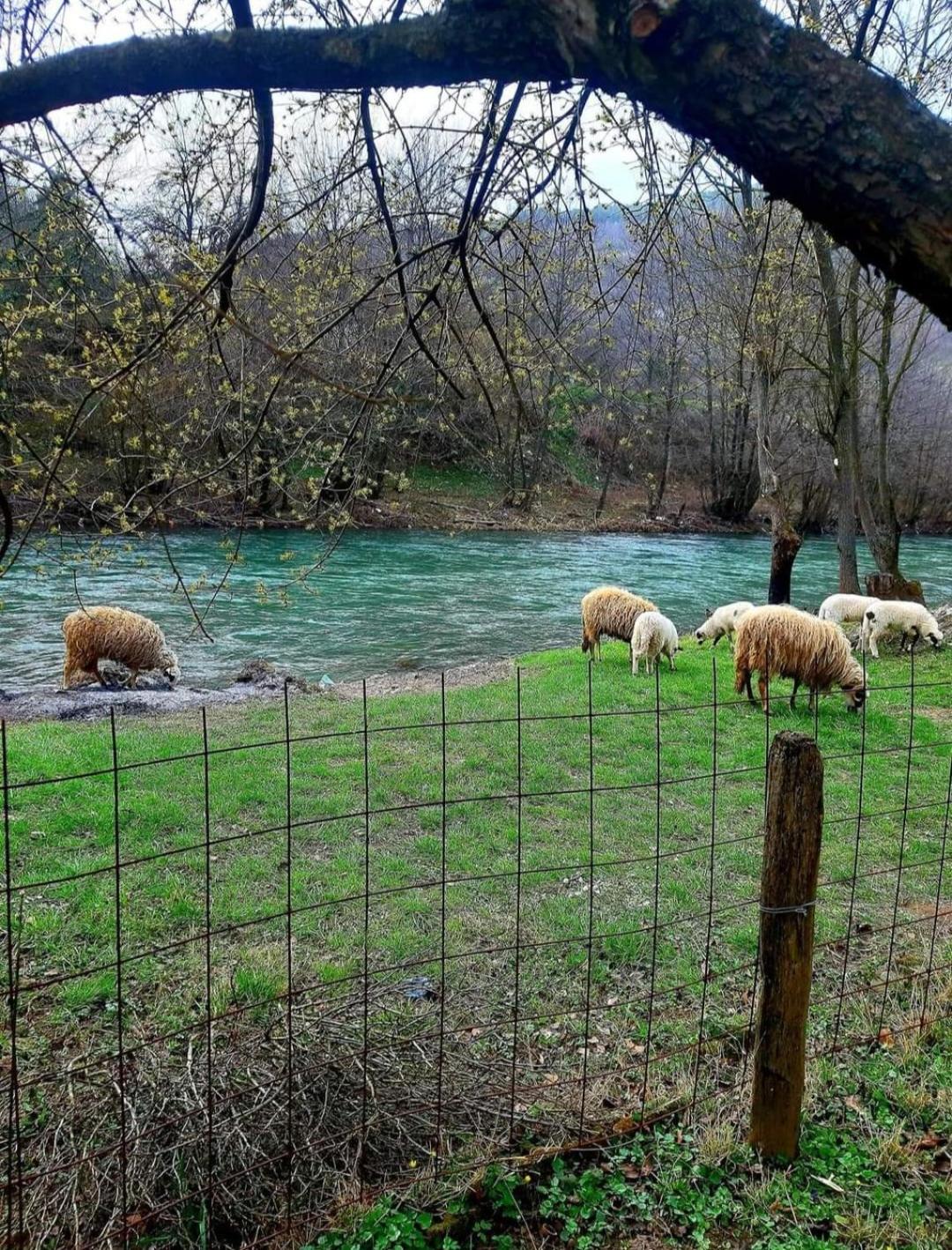 Kuća za odmor 