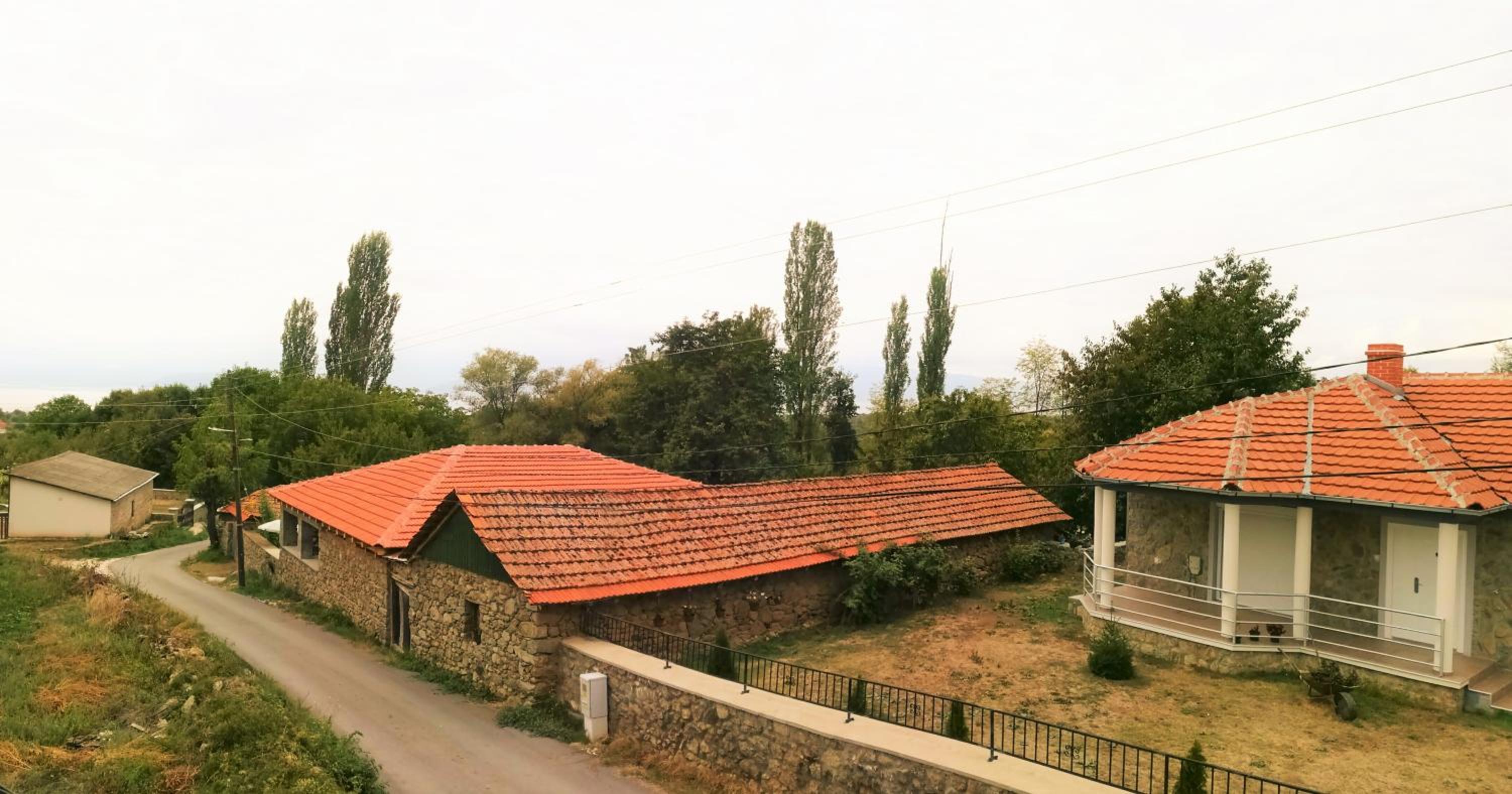 Photo 41