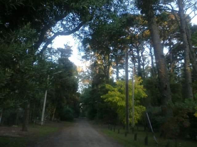 Cabaña,Chalet Alpino Bosques de Peralta Ramos