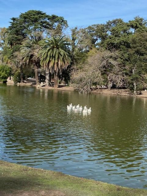 Ayres de Palermo , Botanico!