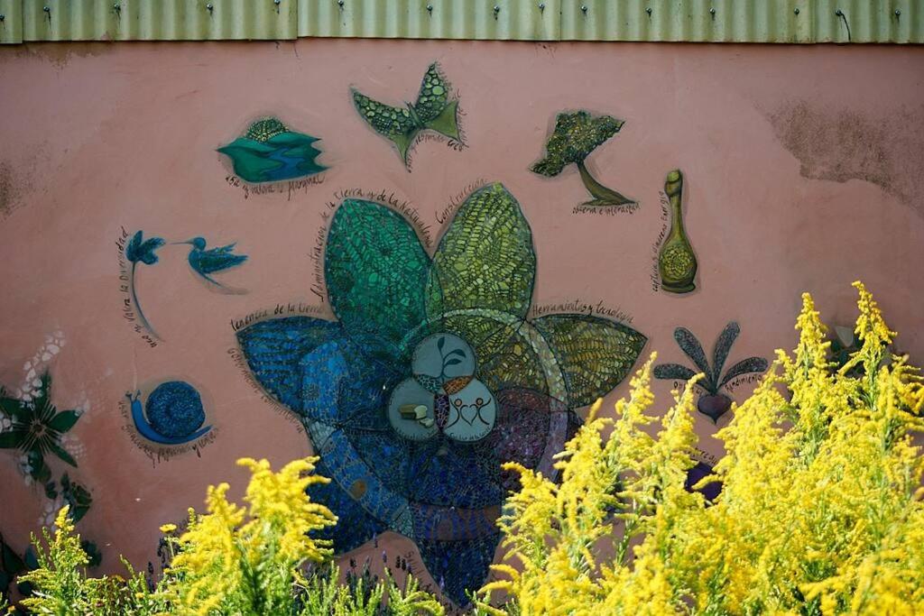 Quinta Esencia - Escuela de la Naturaleza