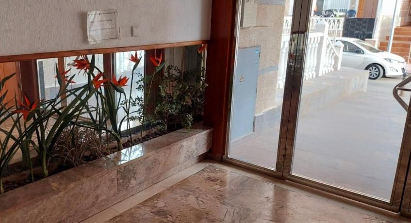 Apartamento Manolo,Punta Prima,400m from the sea & swimming pool view 3