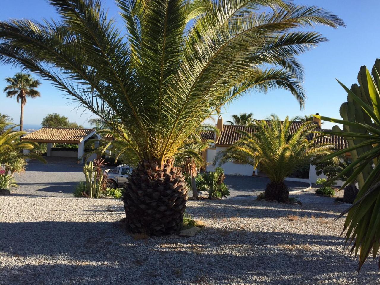 Finca Lechuza