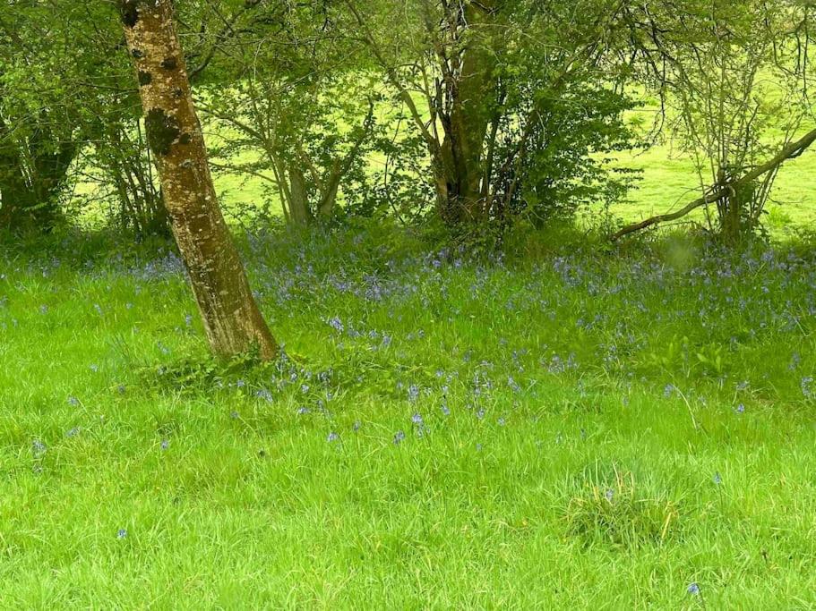 other